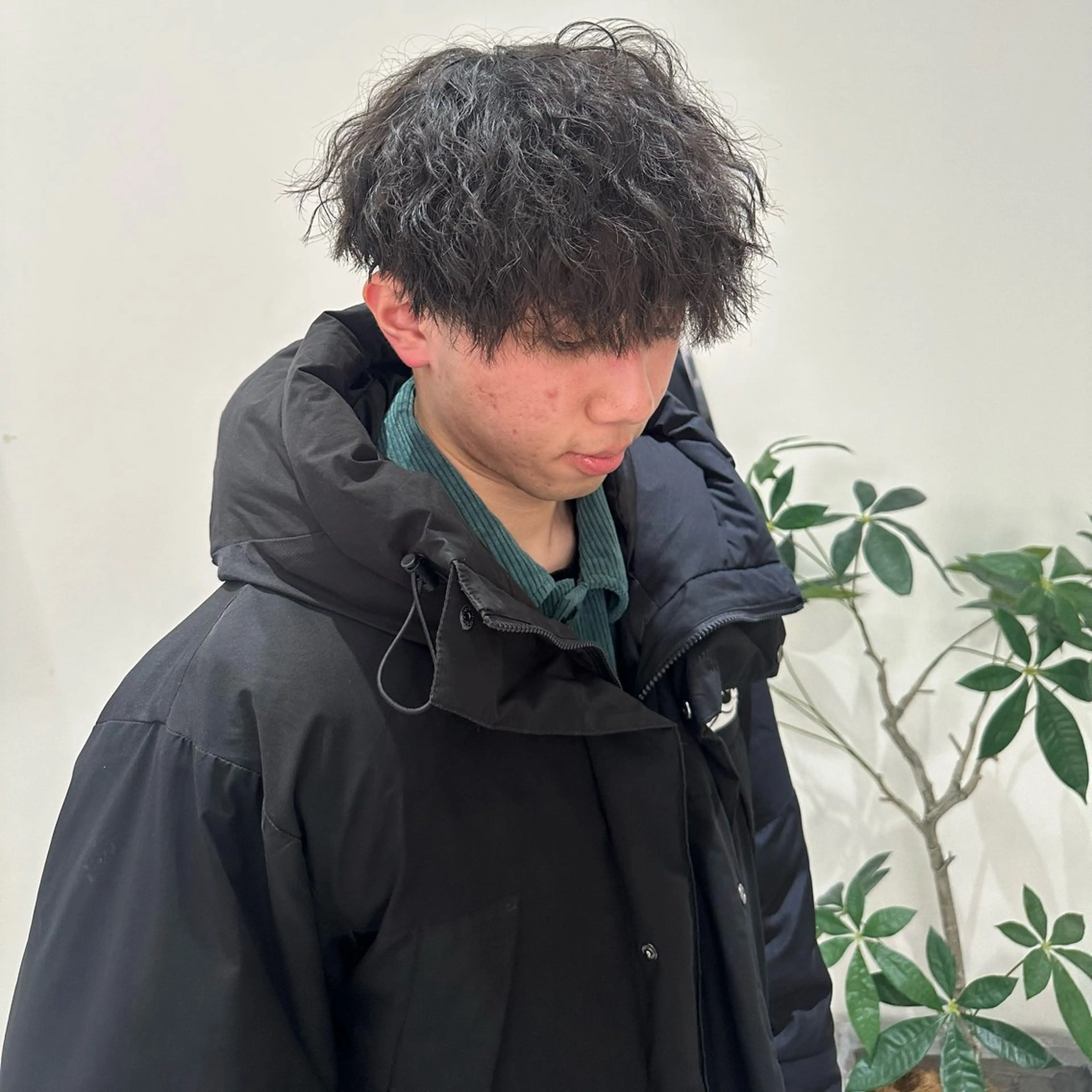 パーマ メンズ マッシュ メンズパーマ 赤み消し/オリーブ カーキ/福田れんのヘアスタイル