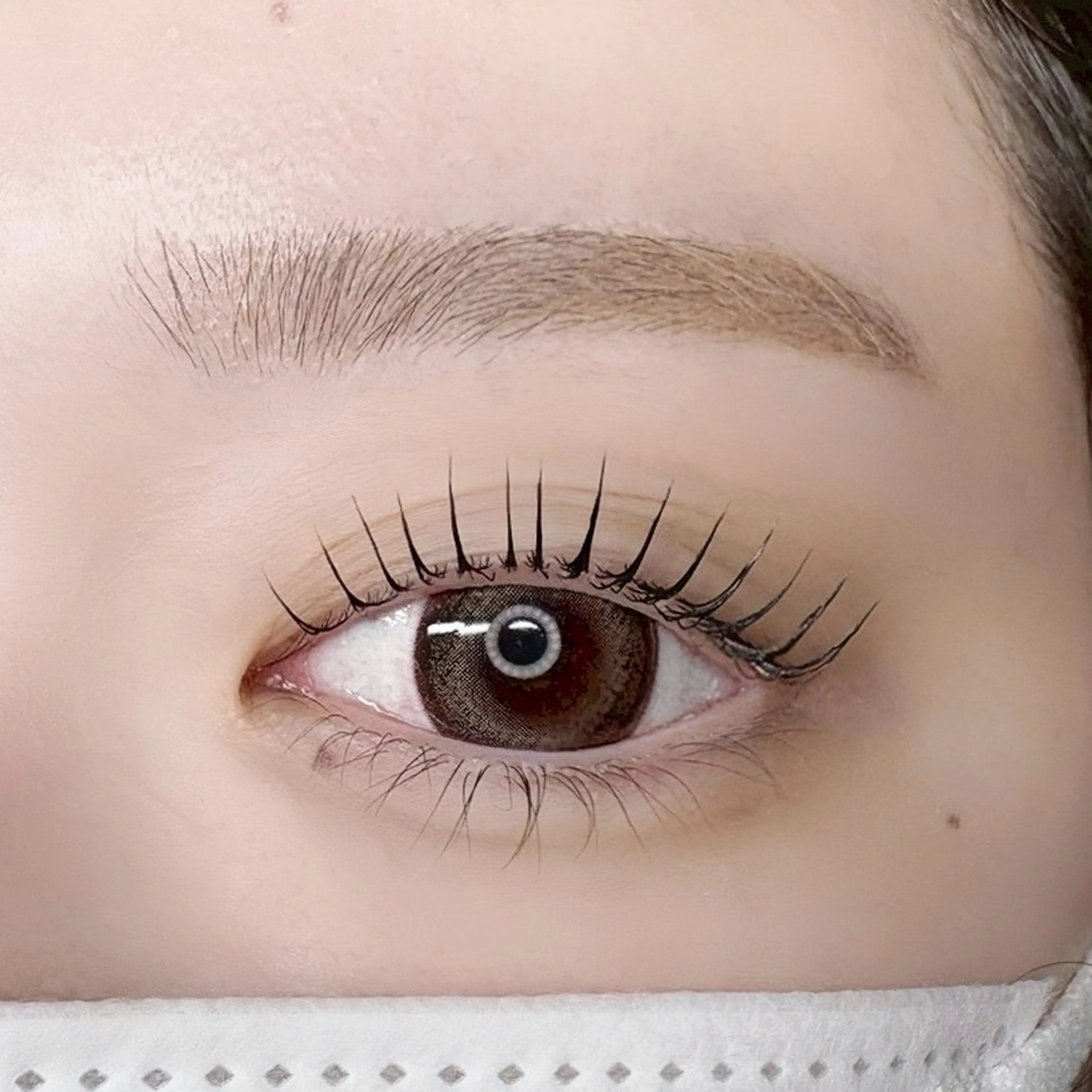 ラッシュリフト＆美眉アイブロウ（シートワックス、間引き、眉メイク込）の写真
