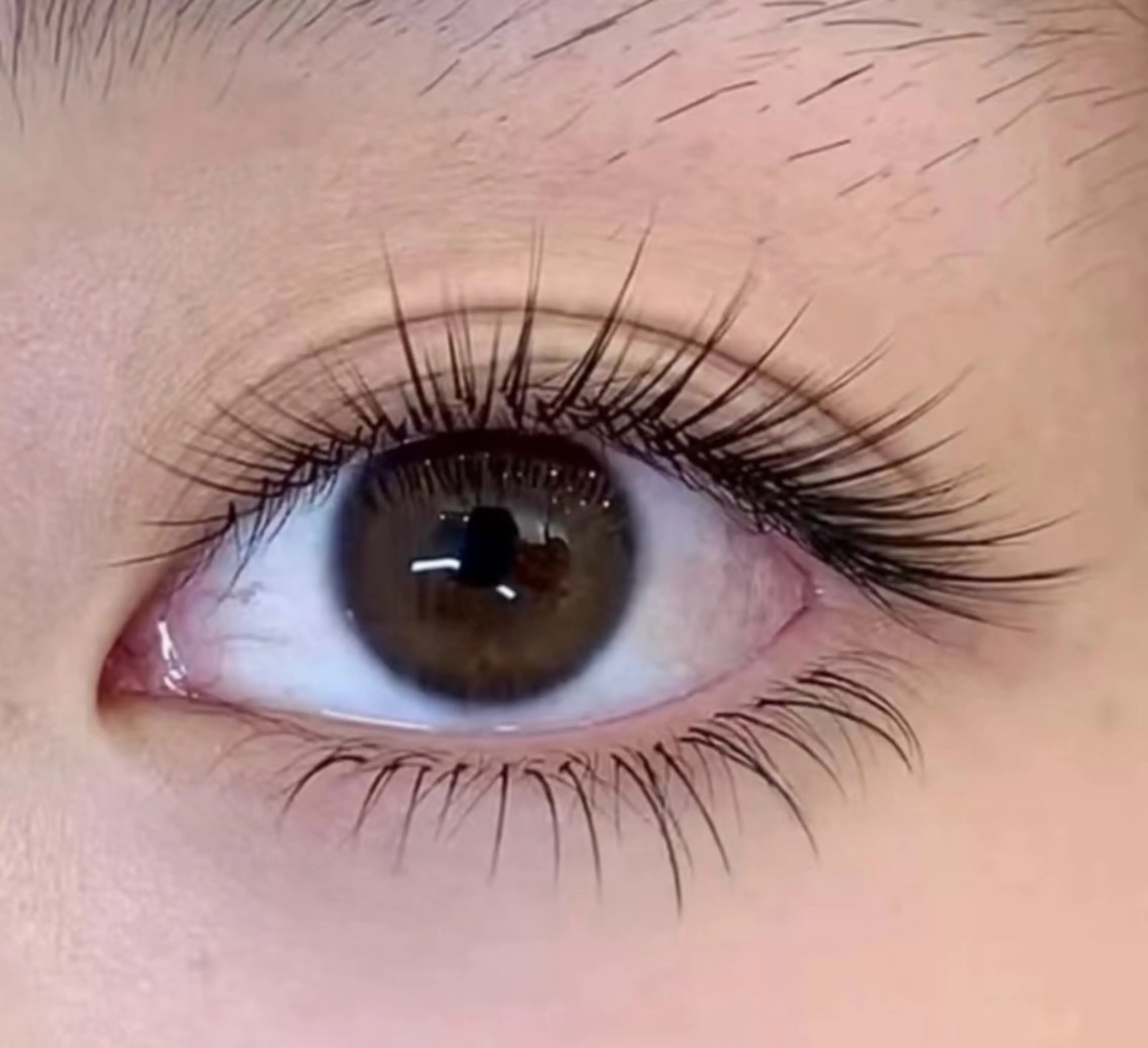 🟢下まつげ付け放題 フラット¥3000 / ボリュウム¥3500🉐LED+1000の写真