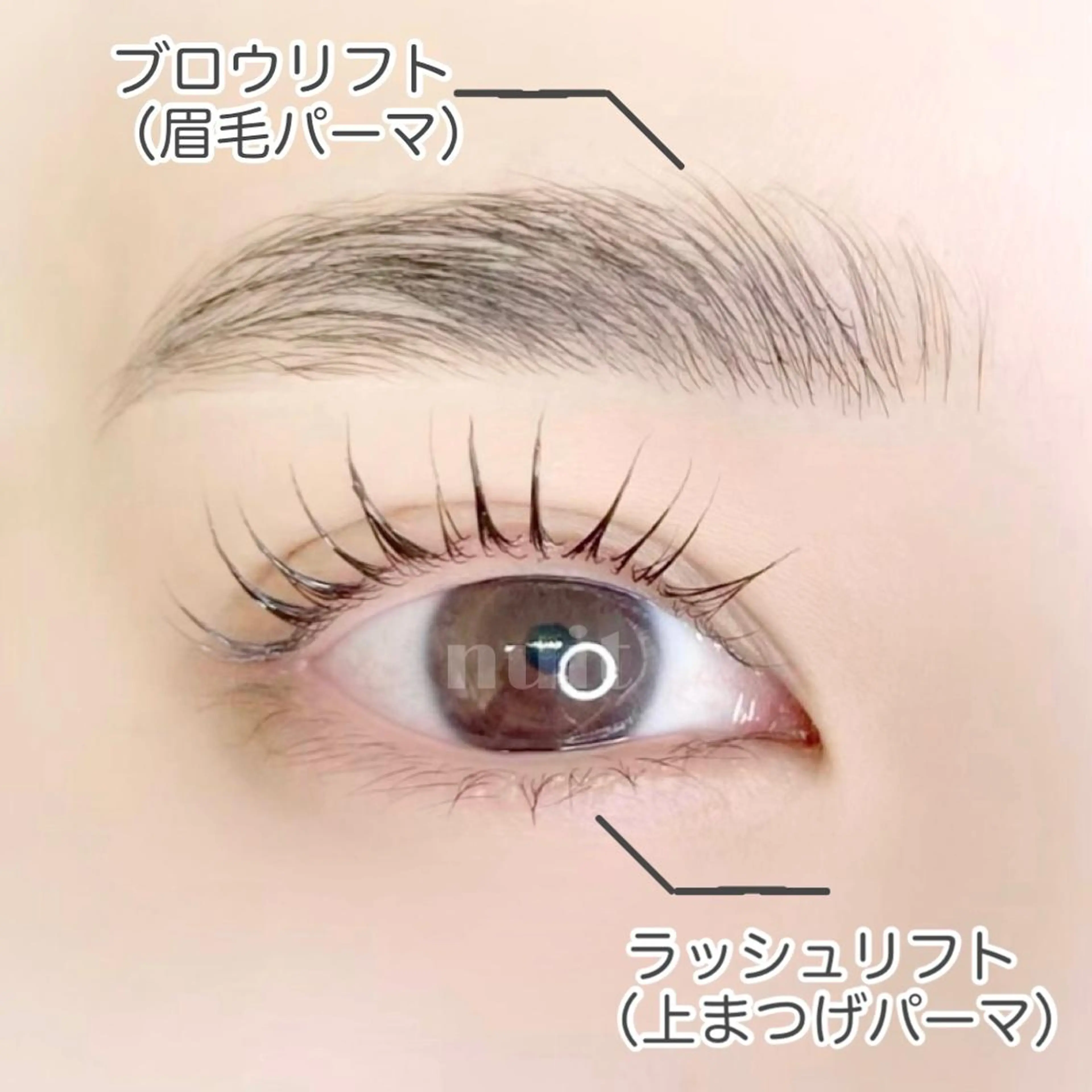 マツエク・マツパ アイブロウ まつげパーマ eyelash  salon  nuit【ニュイ】所属・nuit 【ニュイ】 大宮 /　yucaのマツエク・マツパデザイン