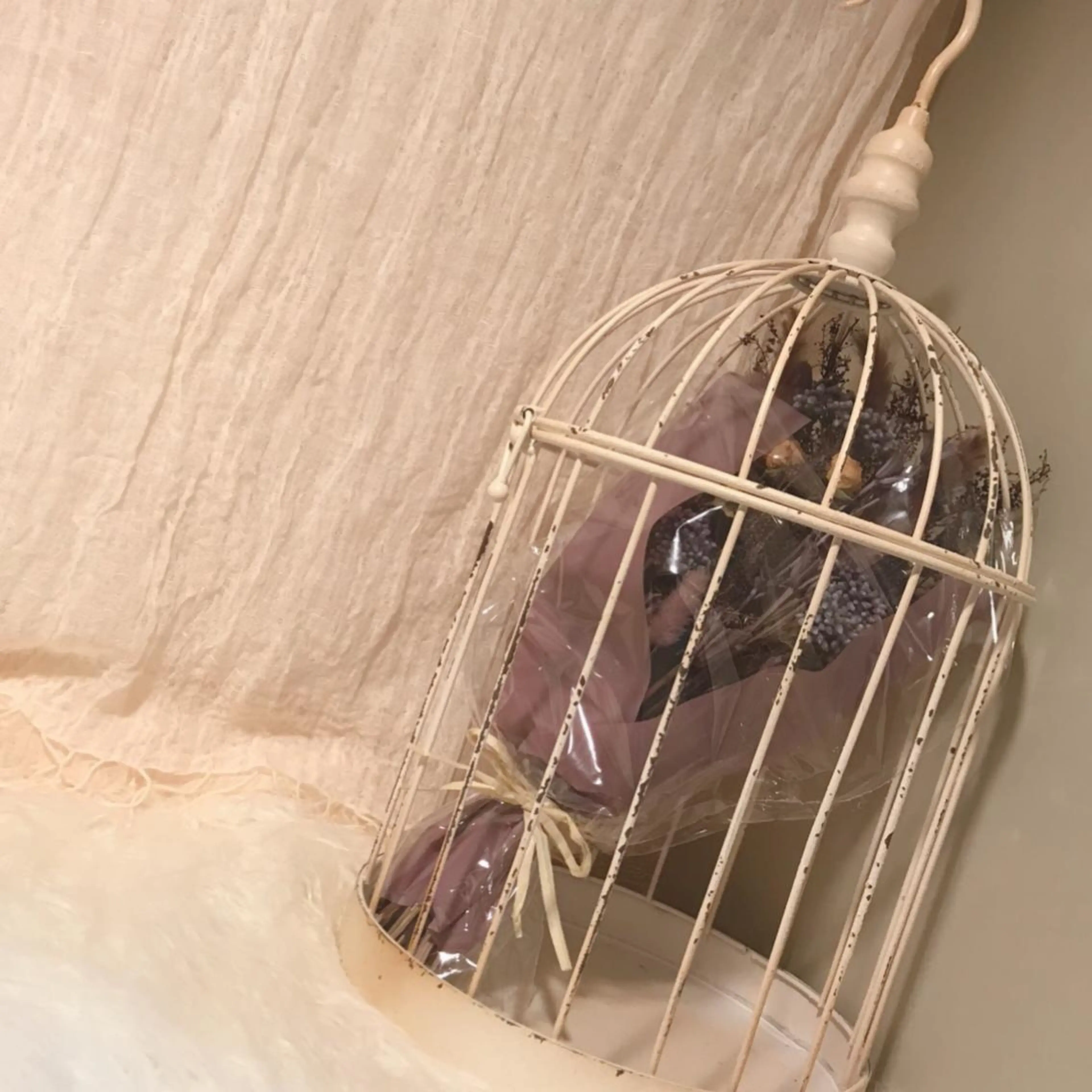 Sono 苑田 彩のマツエク・マツパデザイン