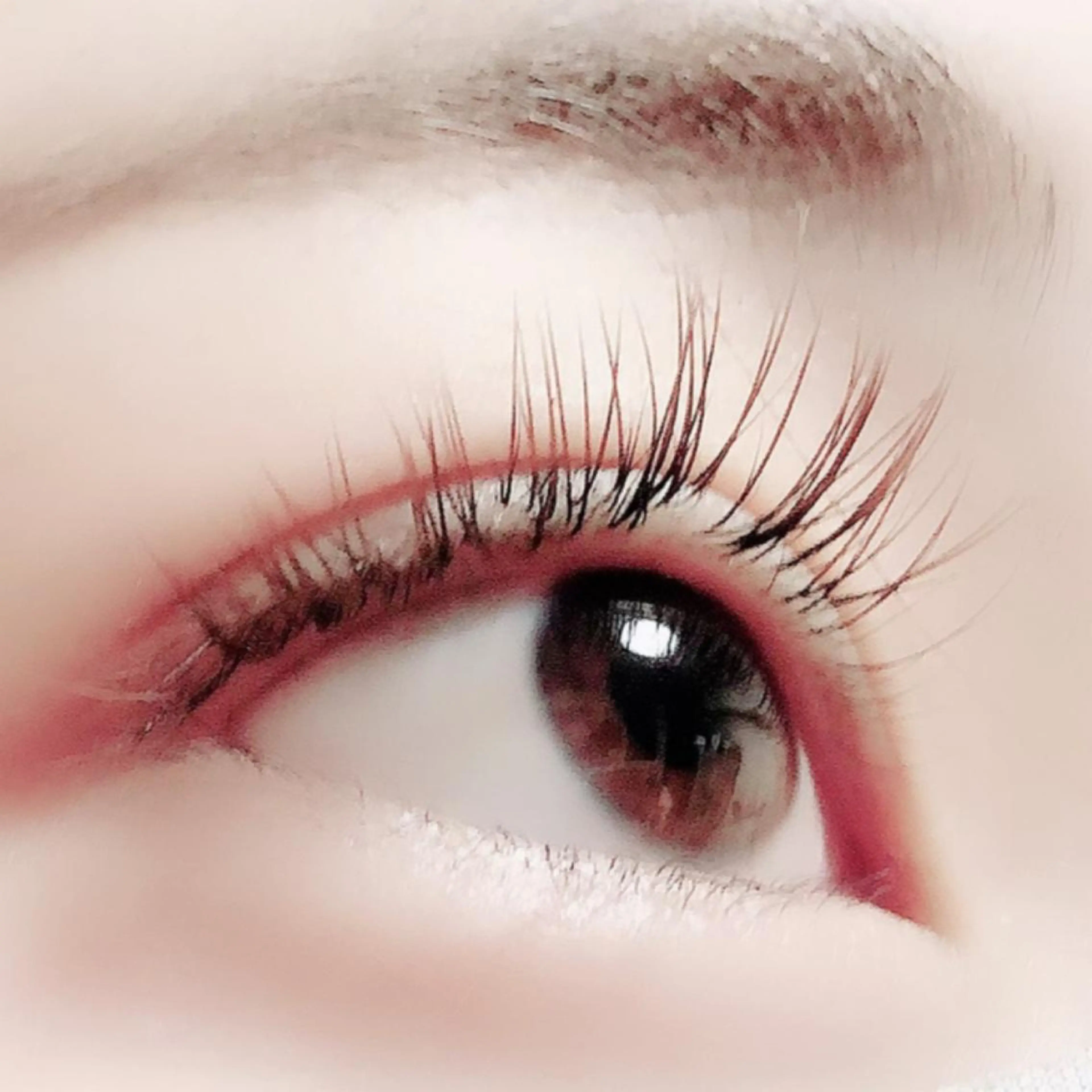 マツエク・マツパ Hase　本八幡 🧸マツエク専門🧸のマツエク・マツパデザイン