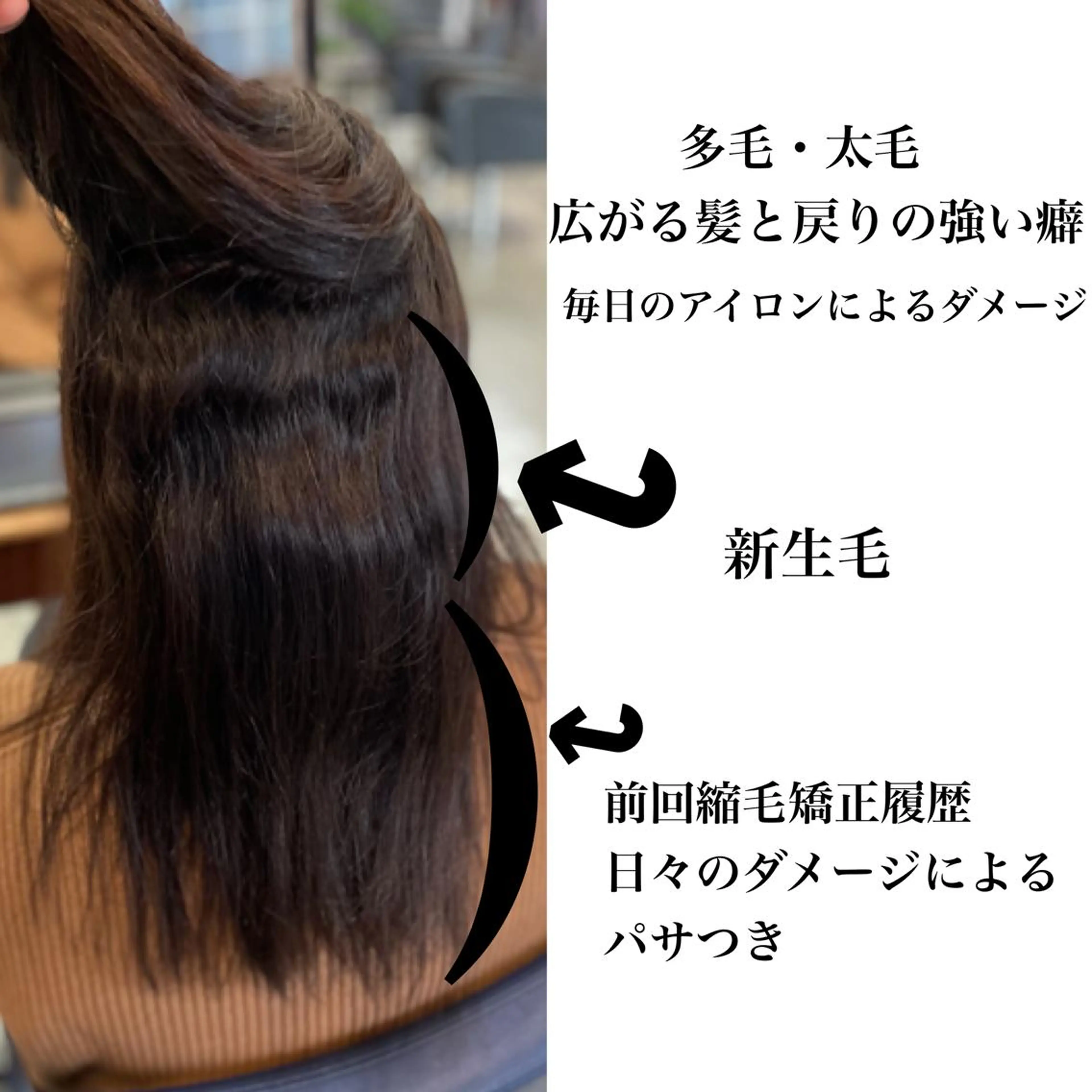 ミディアム カラー パーマ ヘアアレンジ 美髪矯正 Rioのヘアスタイル