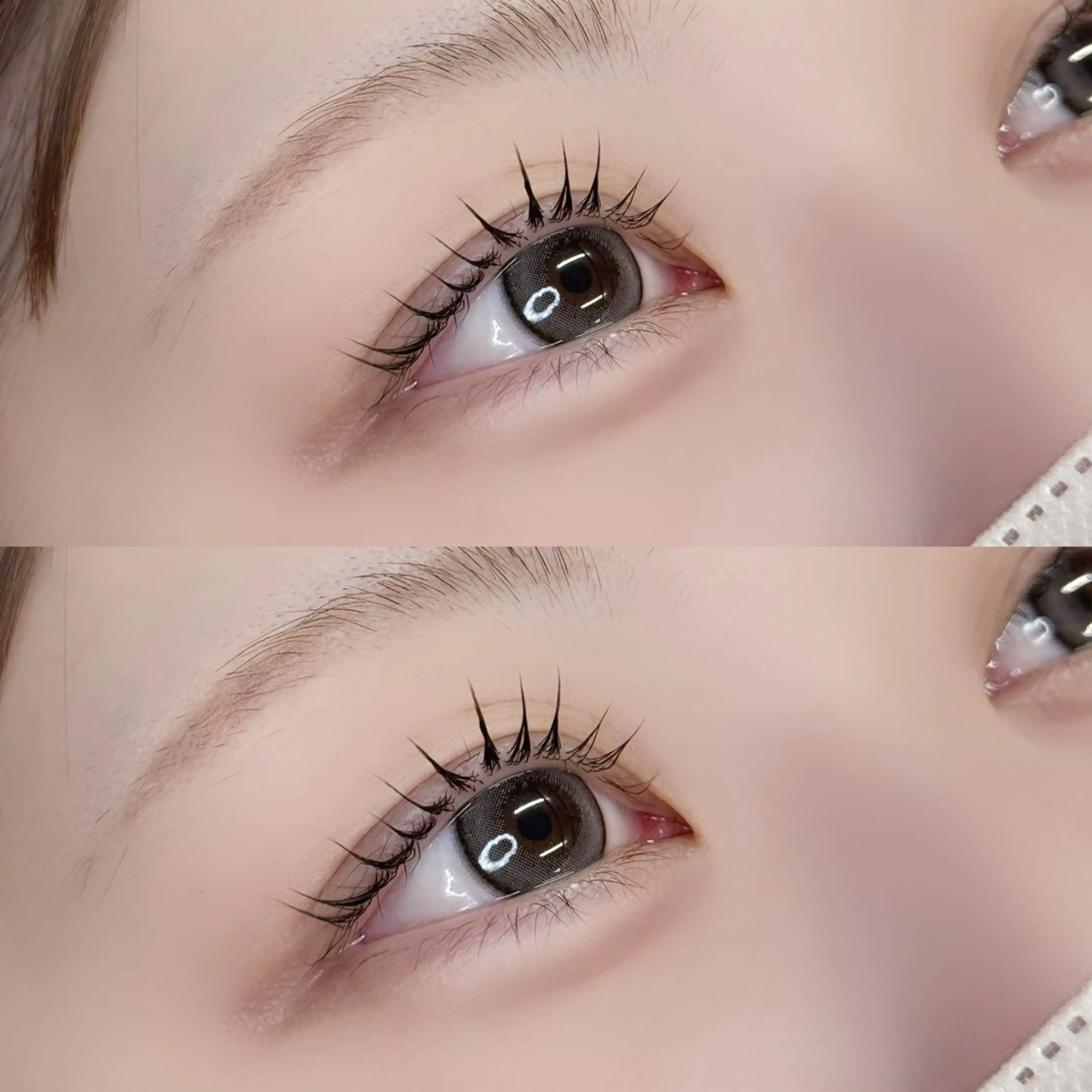 【まつパ初回限定価格🌟】ラッシュリフト ￥6600→5500の写真