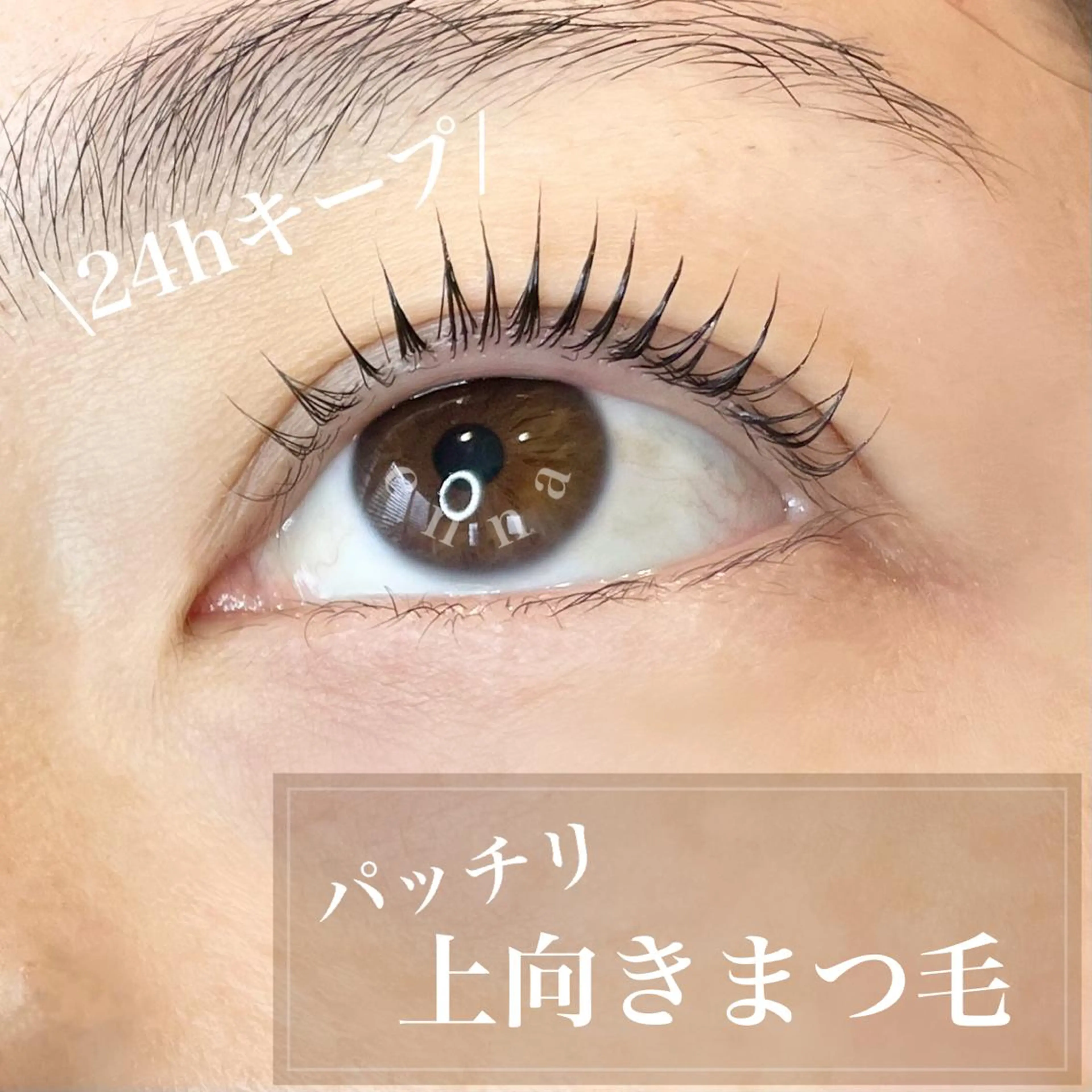 マツエク・マツパ マツパ シェリール✳︎ Erinaのマツエク・マツパデザイン