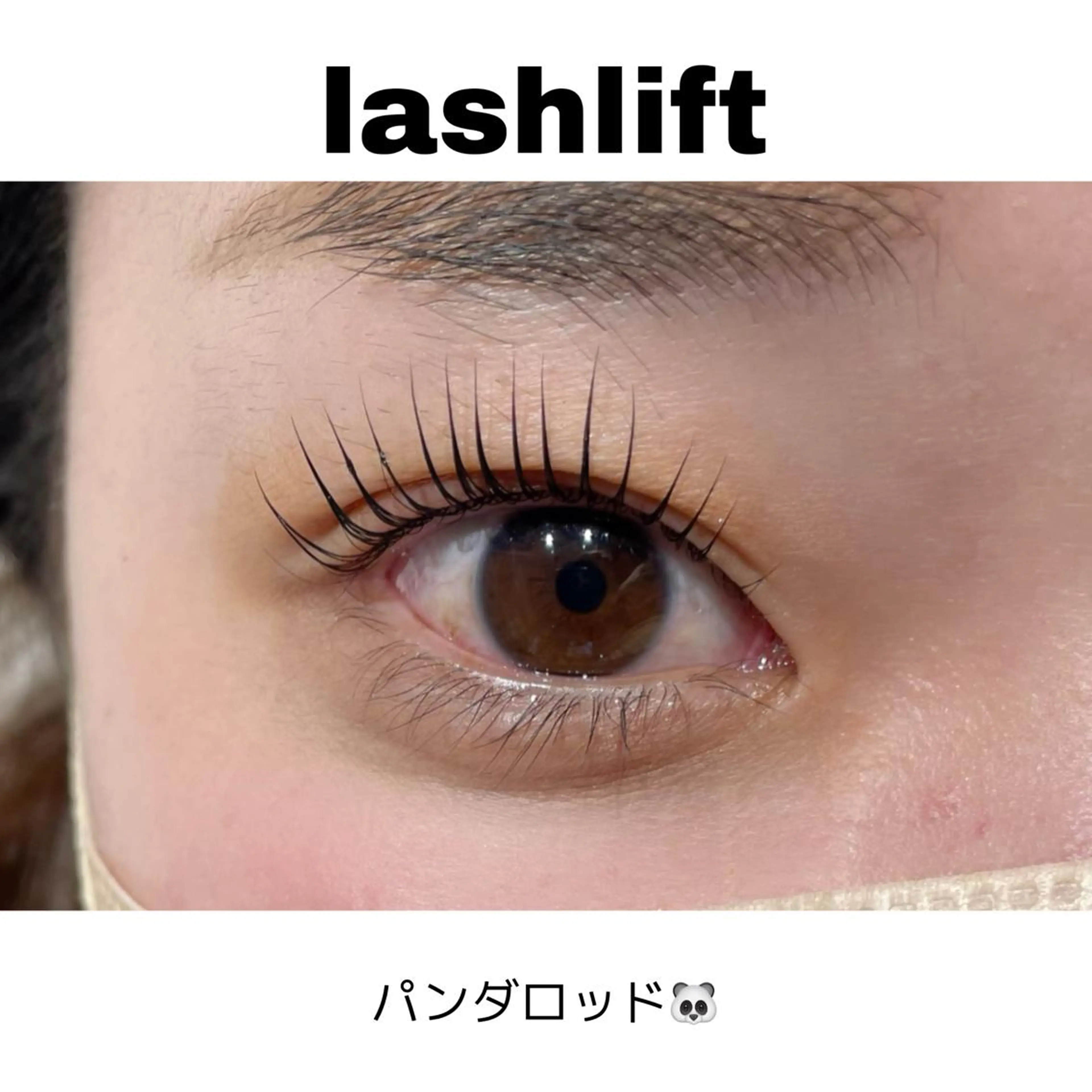 マツエク・マツパ MEIN Salon 恵比寿のその他イメージ