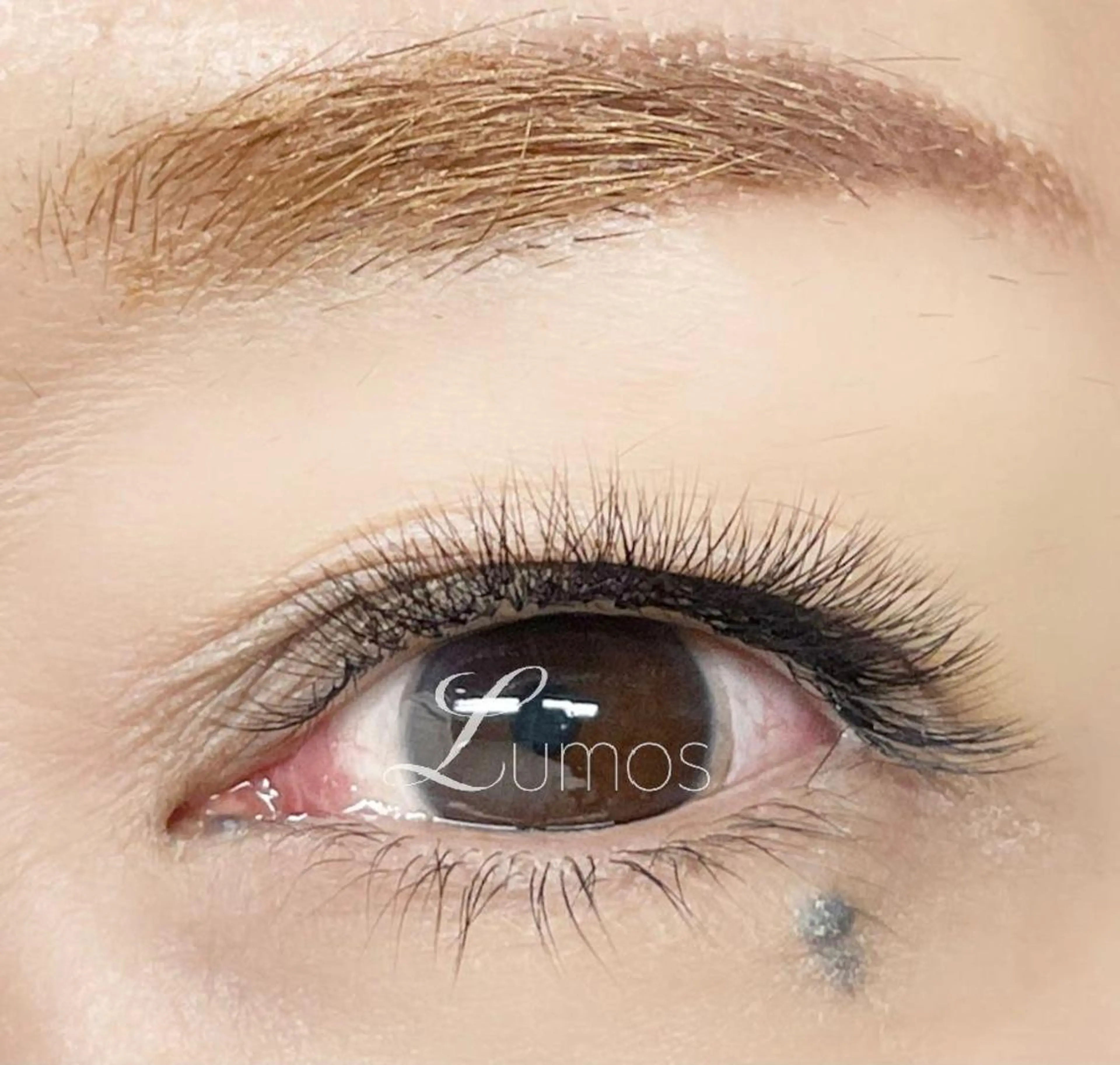 マツエク・マツパ ボリュームラッシュ マツエク Lumos nail&eyelash所属・Lumos Ayakaのマツエク・マツパデザイン