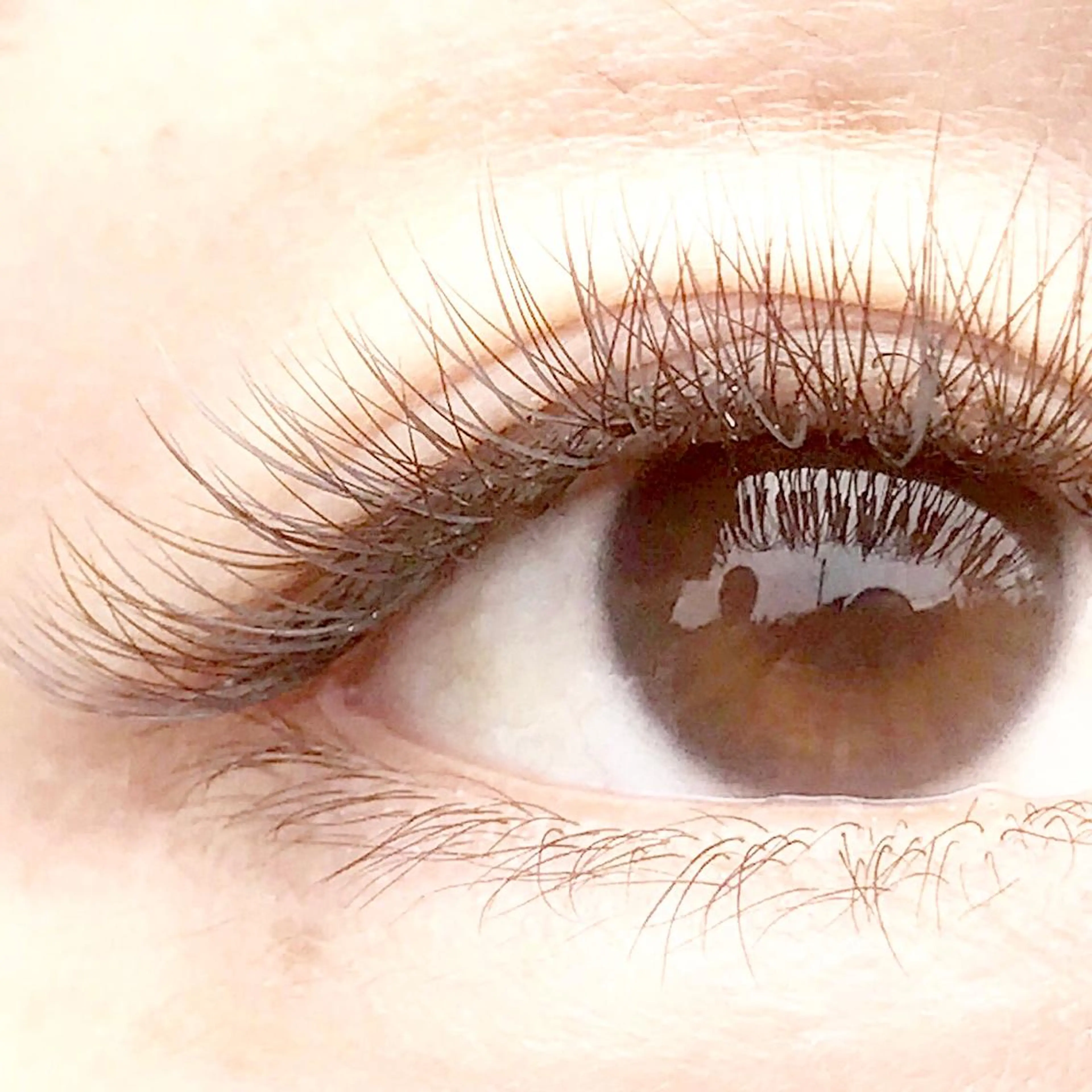 マツエク・マツパ カラーマツエク ボリュームラッシュ LATTE マツエク&ハイパーナイフ所属・LATTE eyelashのマツエク・マツパデザイン