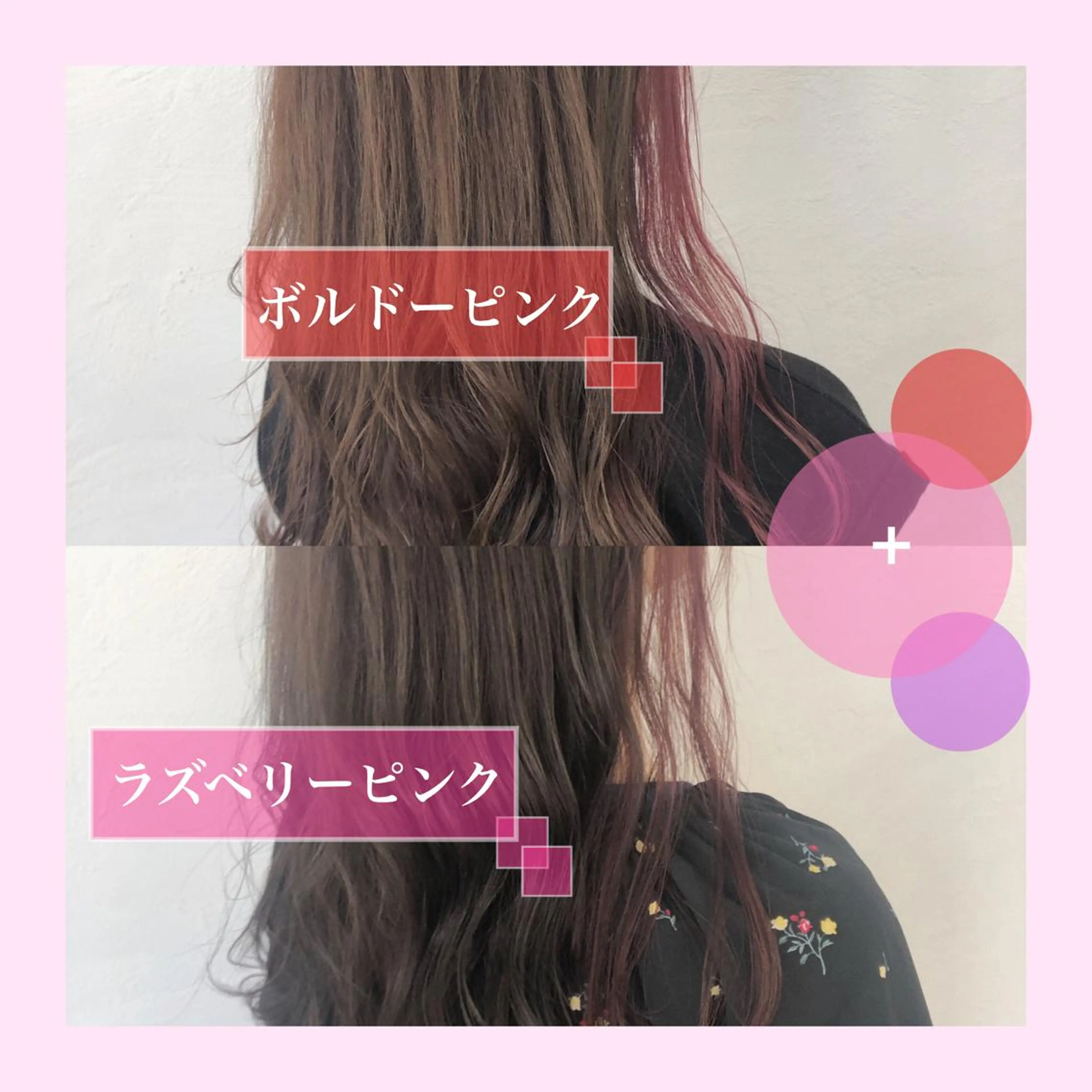 カラー 冨木 雄斗のヘアスタイル