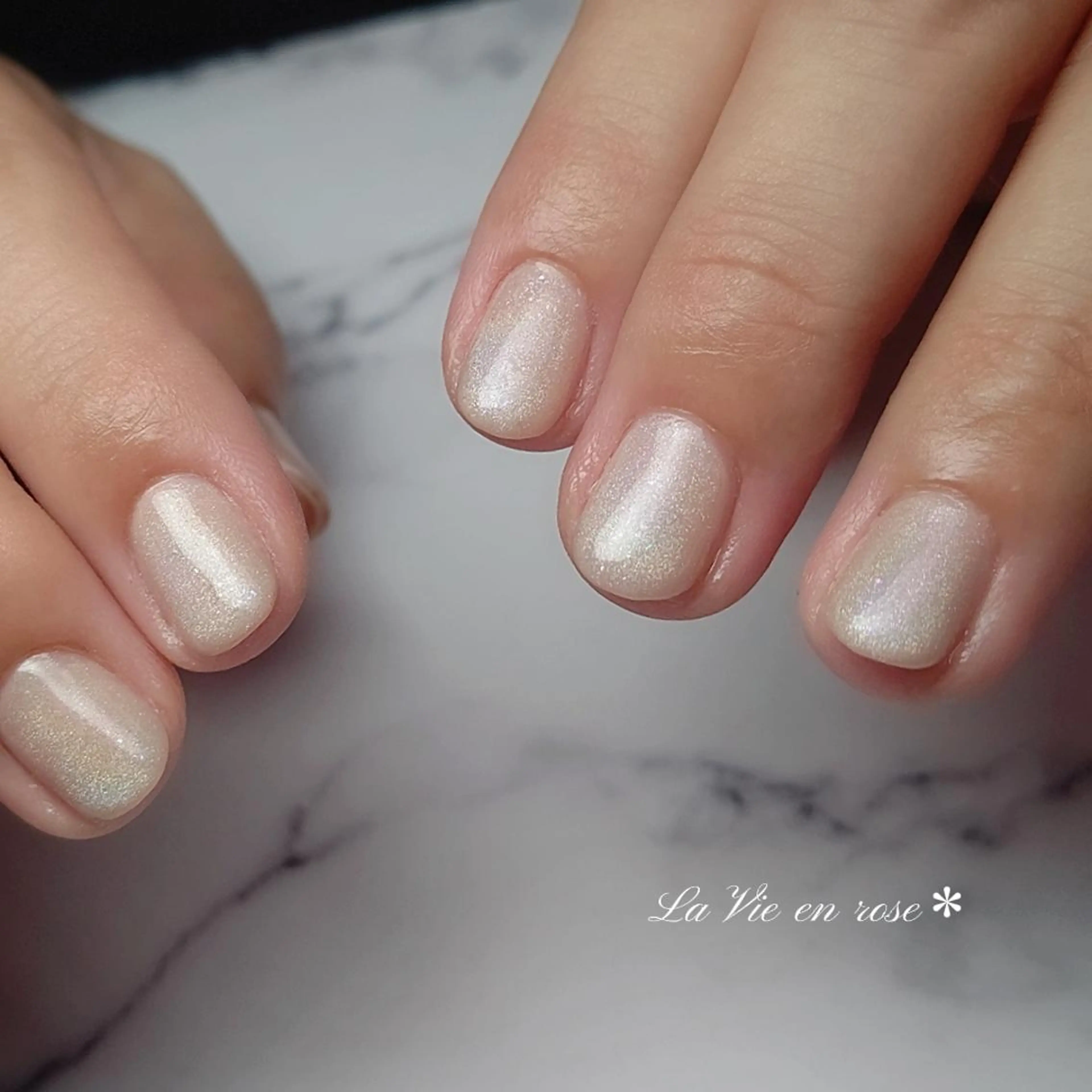 ネイル マグネットネイル ラヴィアン ローズのネイルデザイン