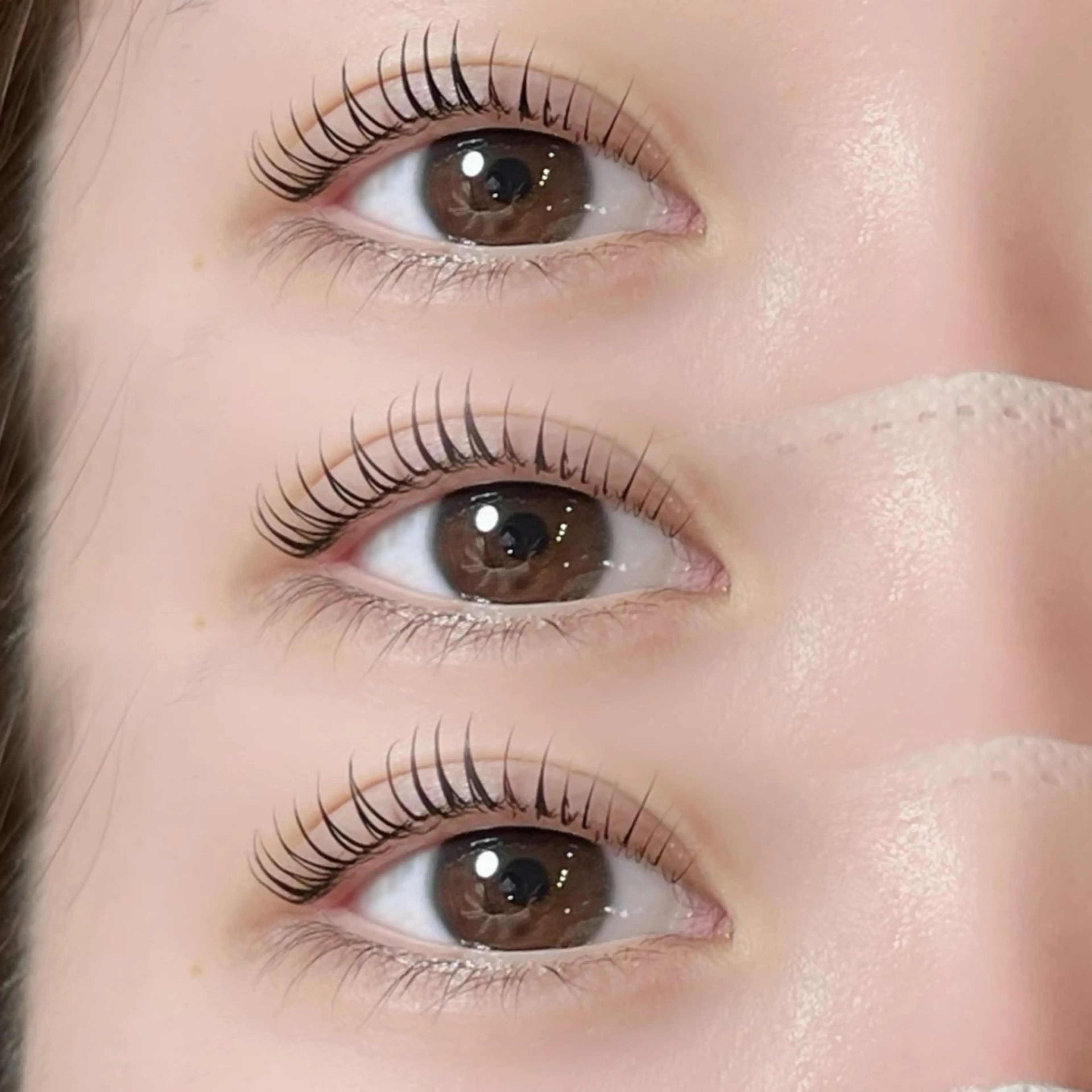 🪄ラッシュリフト🪄コーティング付き🧴の写真