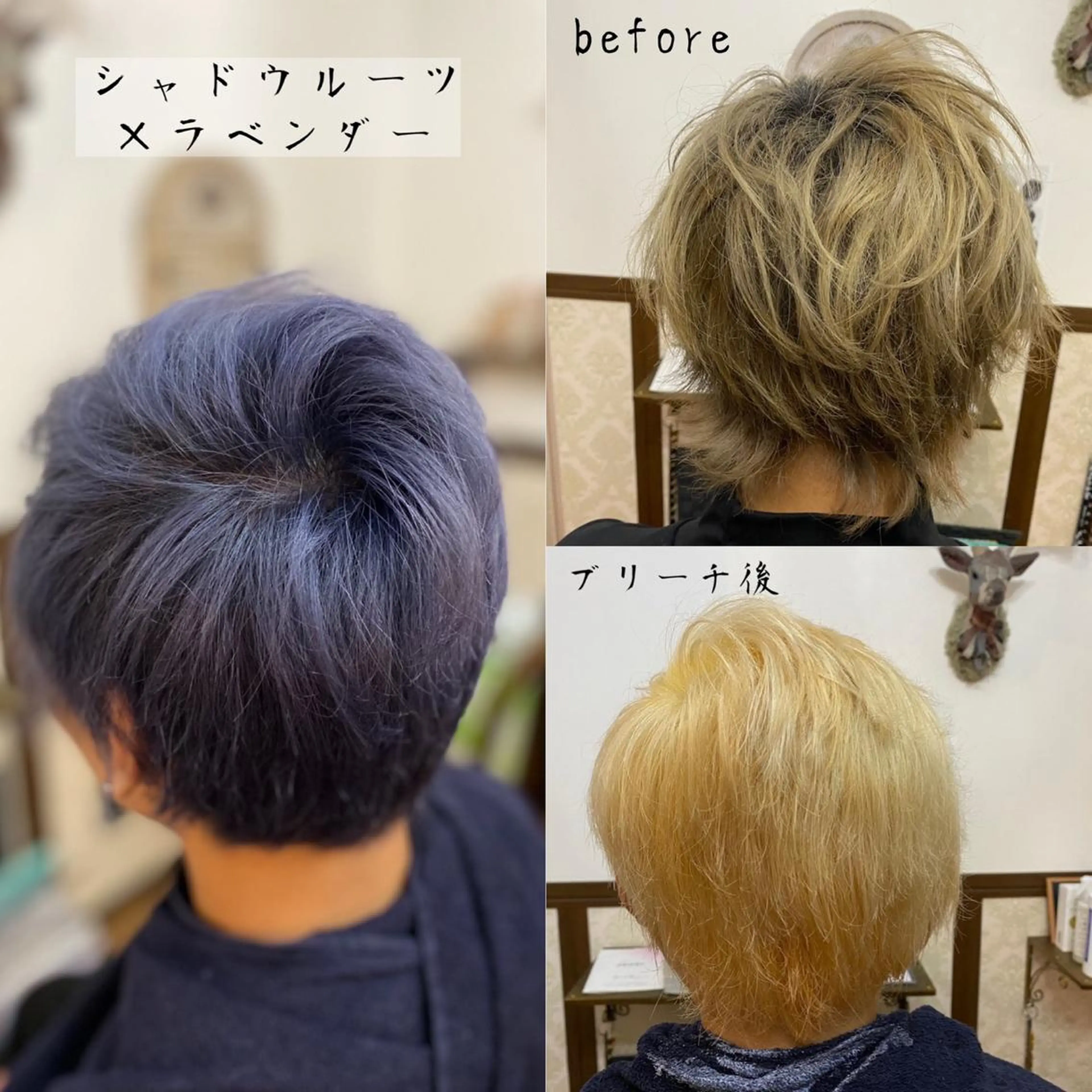 ショート カラー GOLD BLACK所属・究極の艶髪！ 艶神！大矢祥央のヘアスタイル