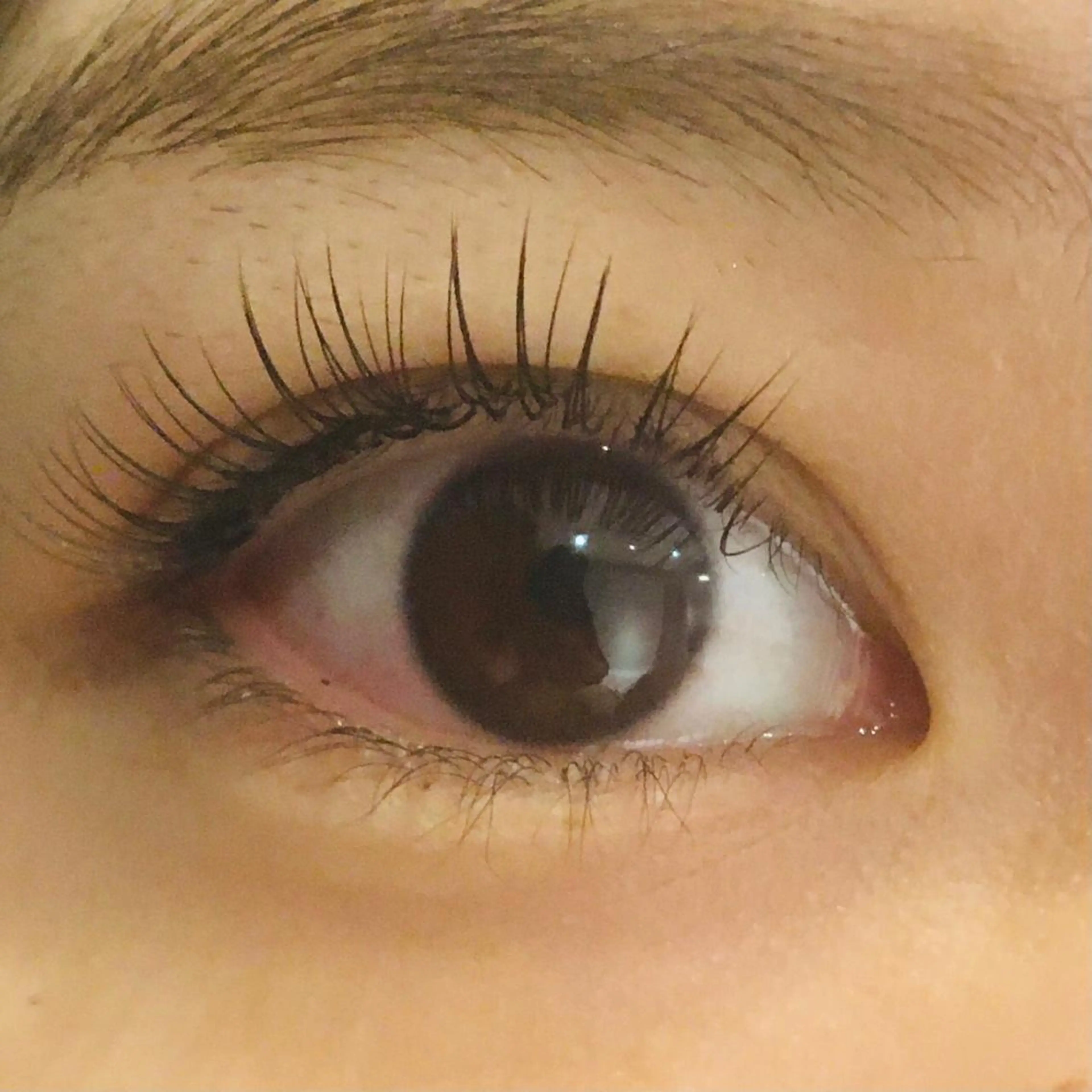 フラットラッシュ100本🌈3000円✨コーティング付き♡オフなしの写真