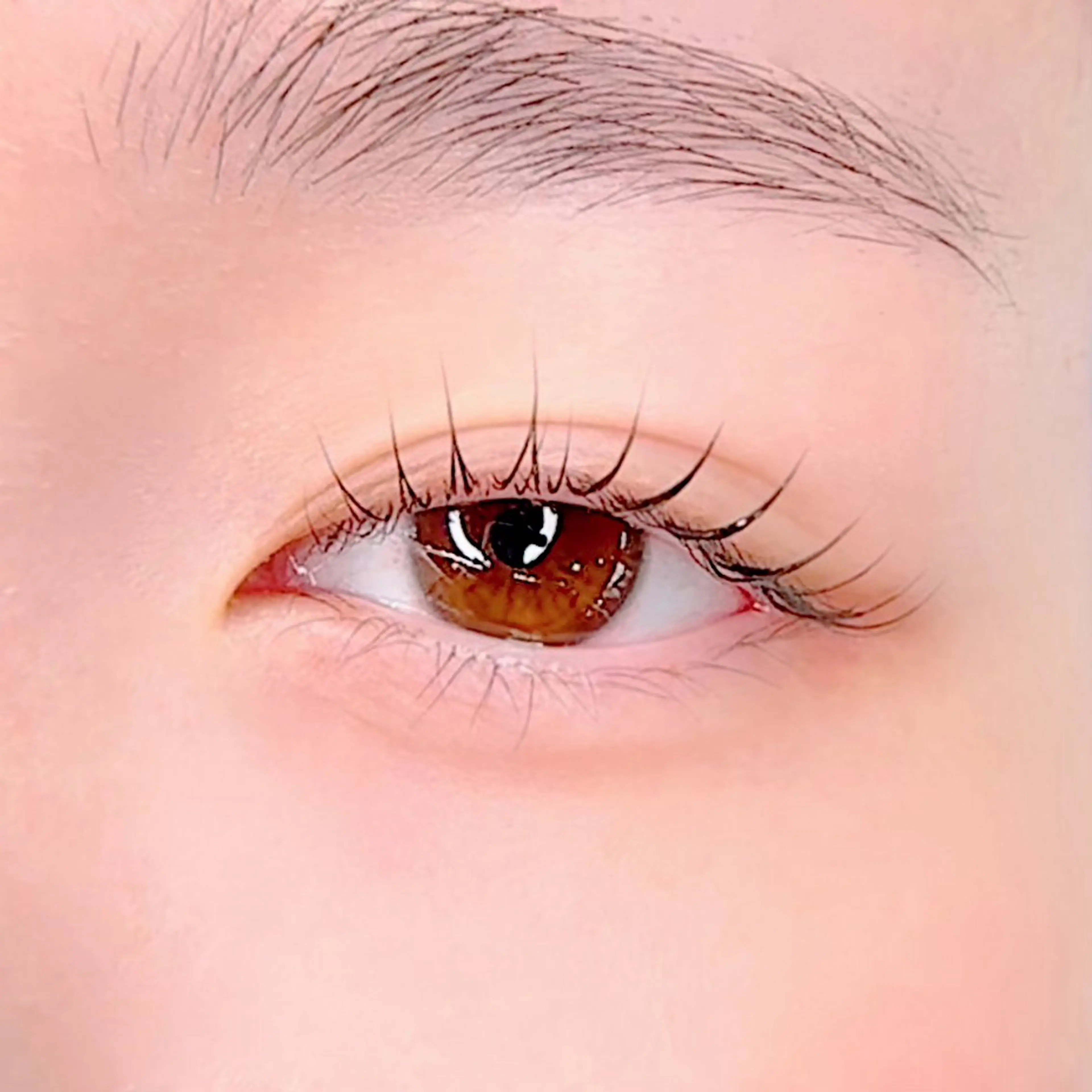 【minimo限定価格】まつげパーマ¥6,990→¥4,900の写真