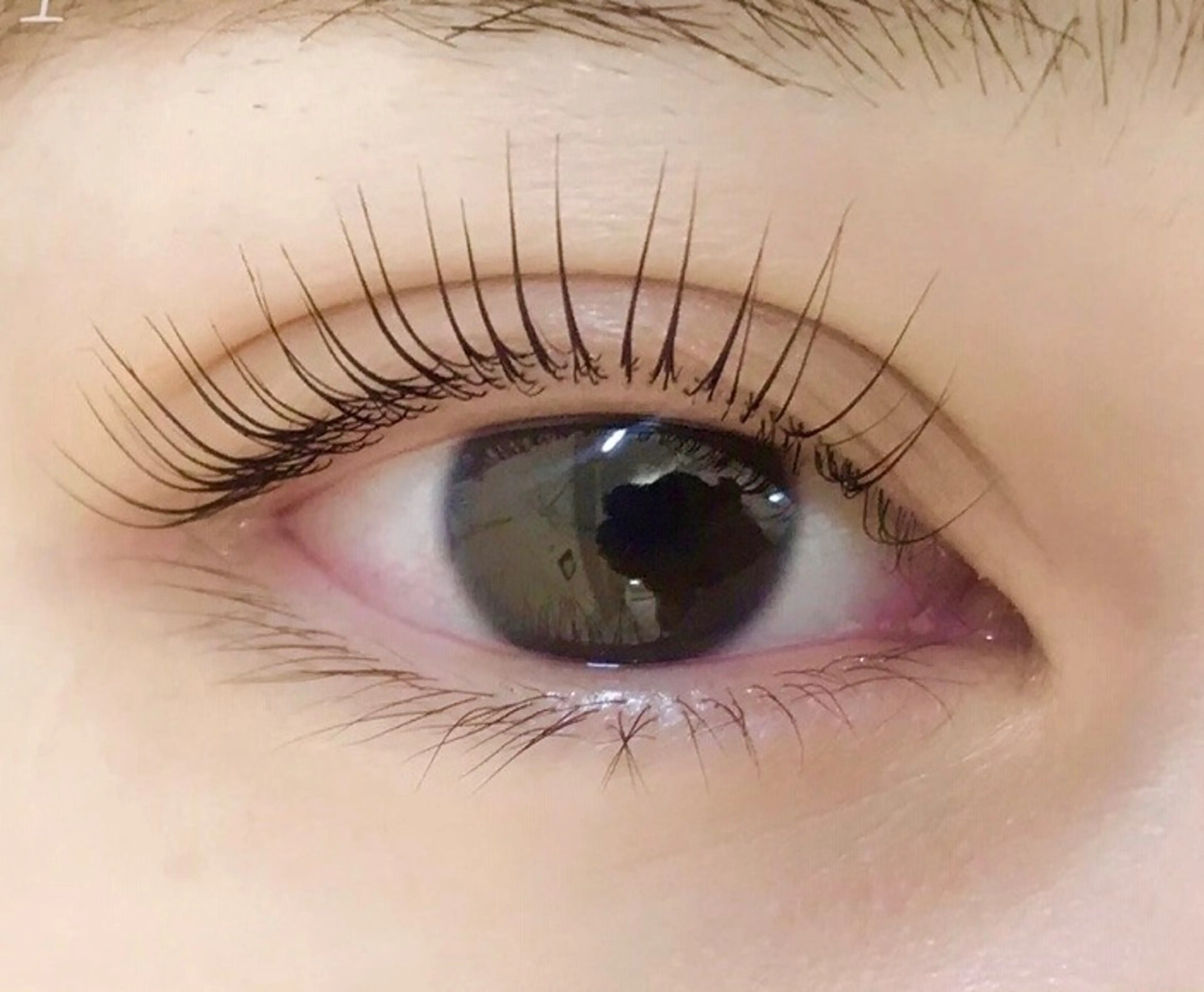 パリジェンヌラッシュリフト　トリートメント付🖤の写真