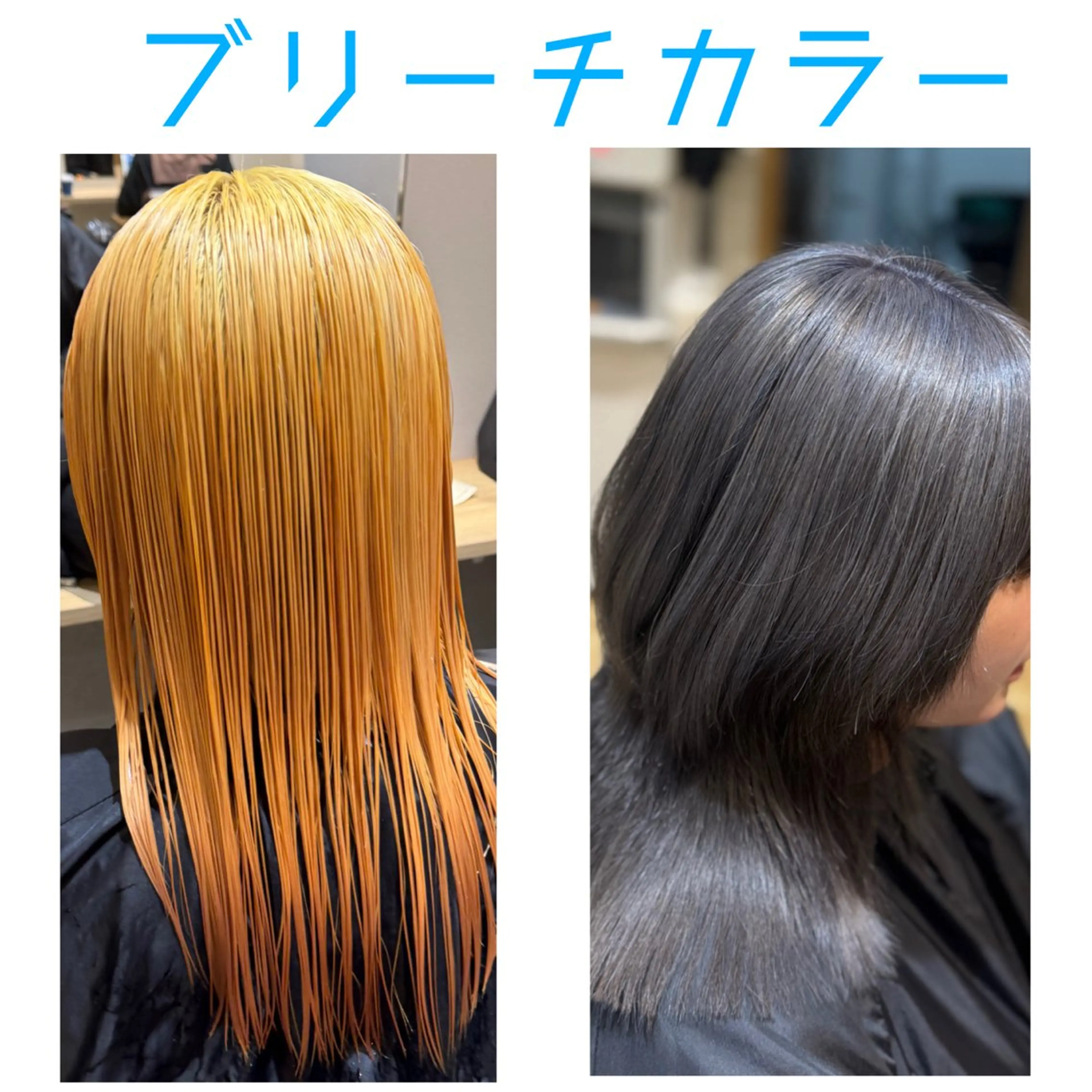 全頭ブリーチ ➕ エドル・アディクシーカラー 💙➕ フローディア2STEPトリートメントの写真