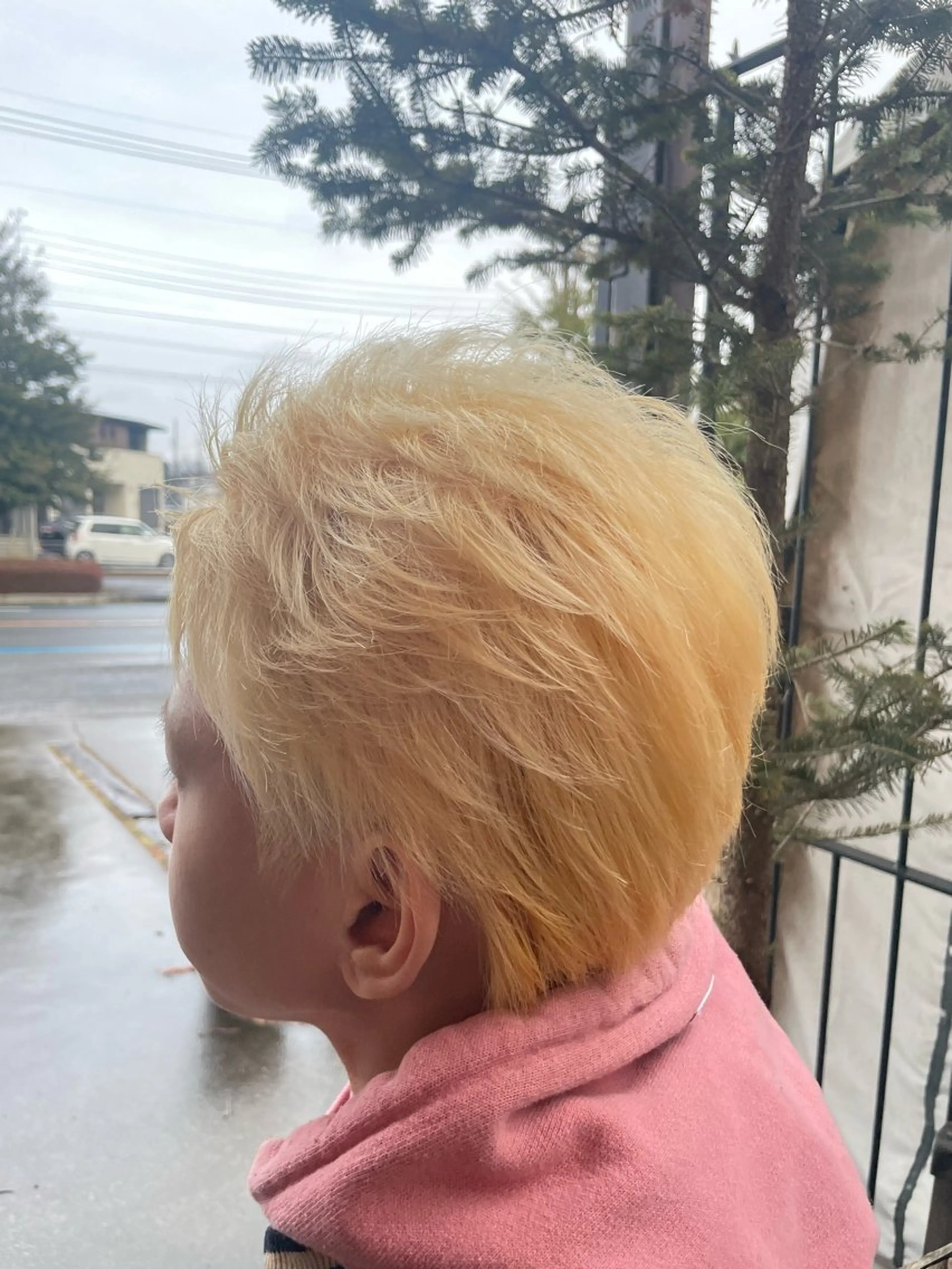 メンズ　似合わせカット💇‍♂️の写真