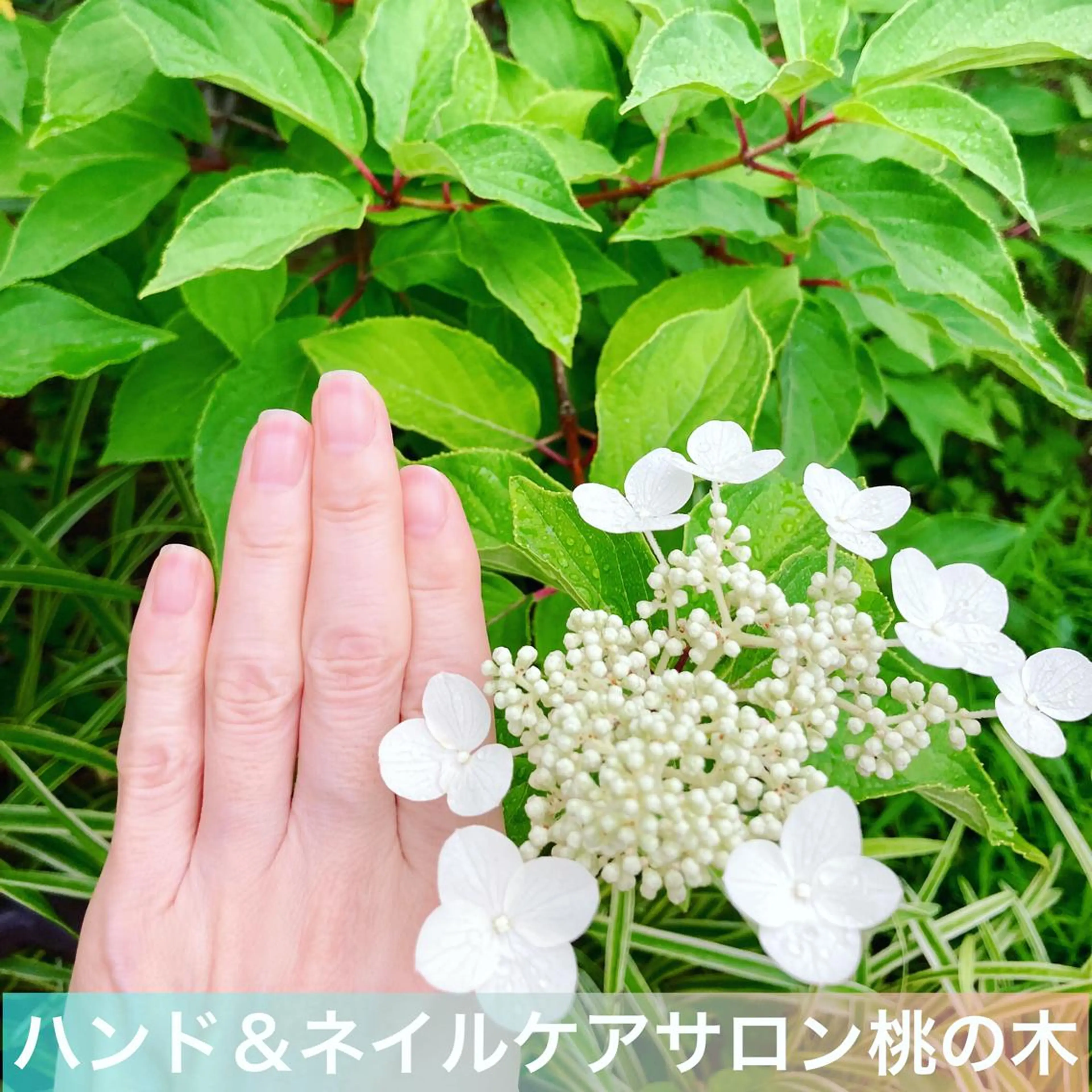 メンズ ネイル ハンドケア＆ネイルケア桃の木所属・ケアリスト🍀 マリユキのその他イメージ