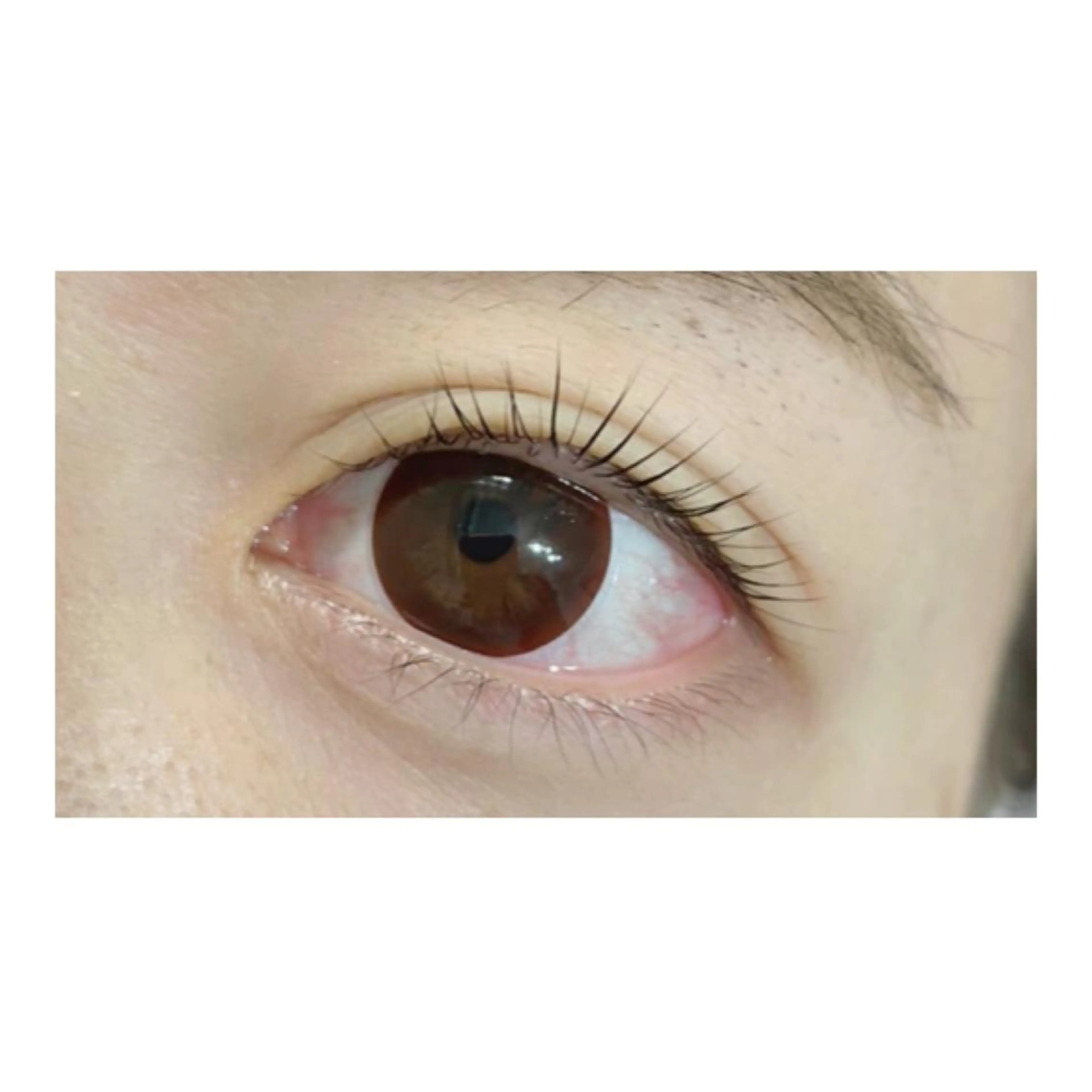 マツエク・マツパ eyelash COCO所属・eyelash COCOのマツエク・マツパデザイン