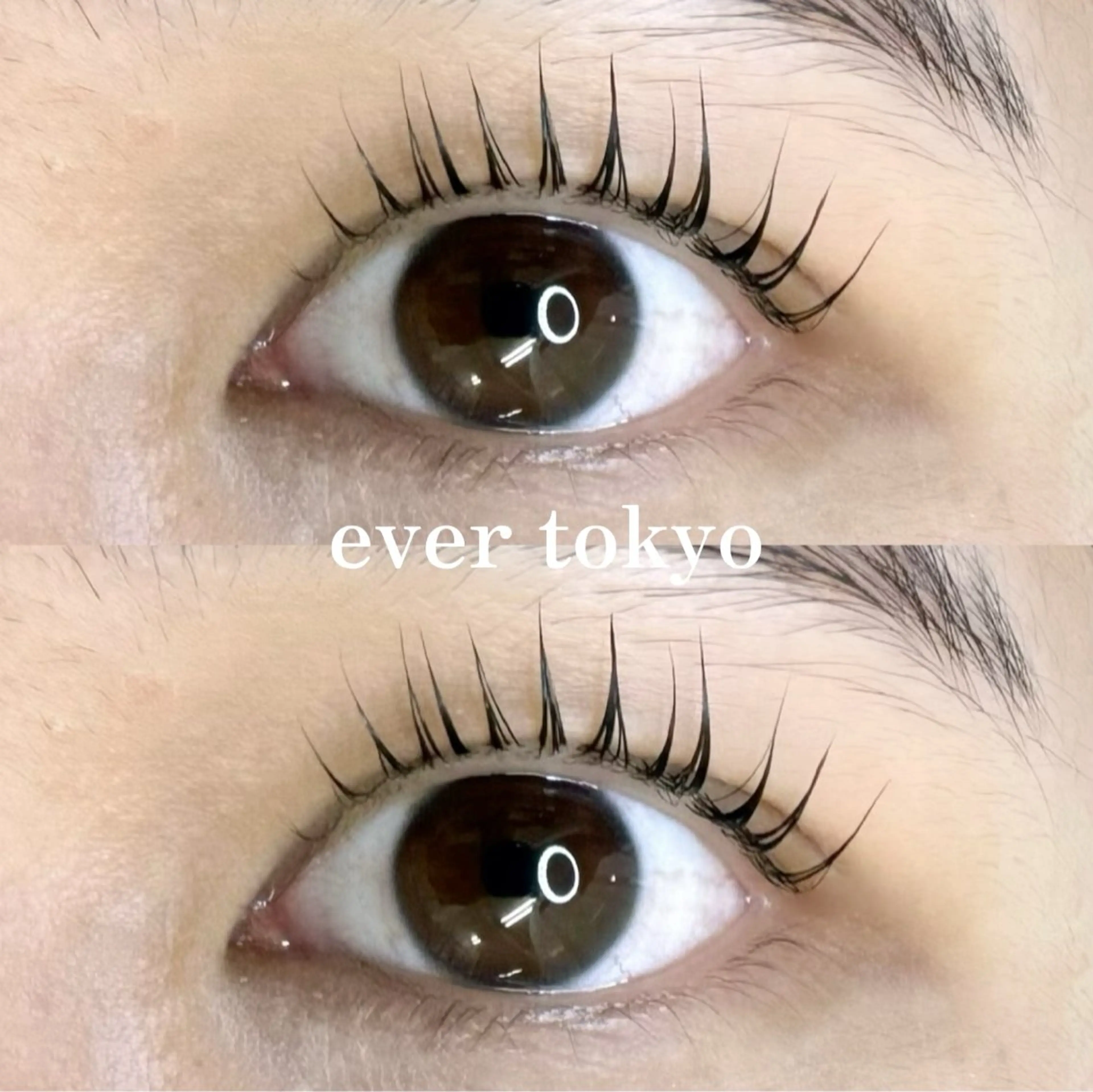 マツエク・マツパ パリジェンヌラッシュリフト Beckylash 麻布十番研修センターのマツエク・マツパデザイン