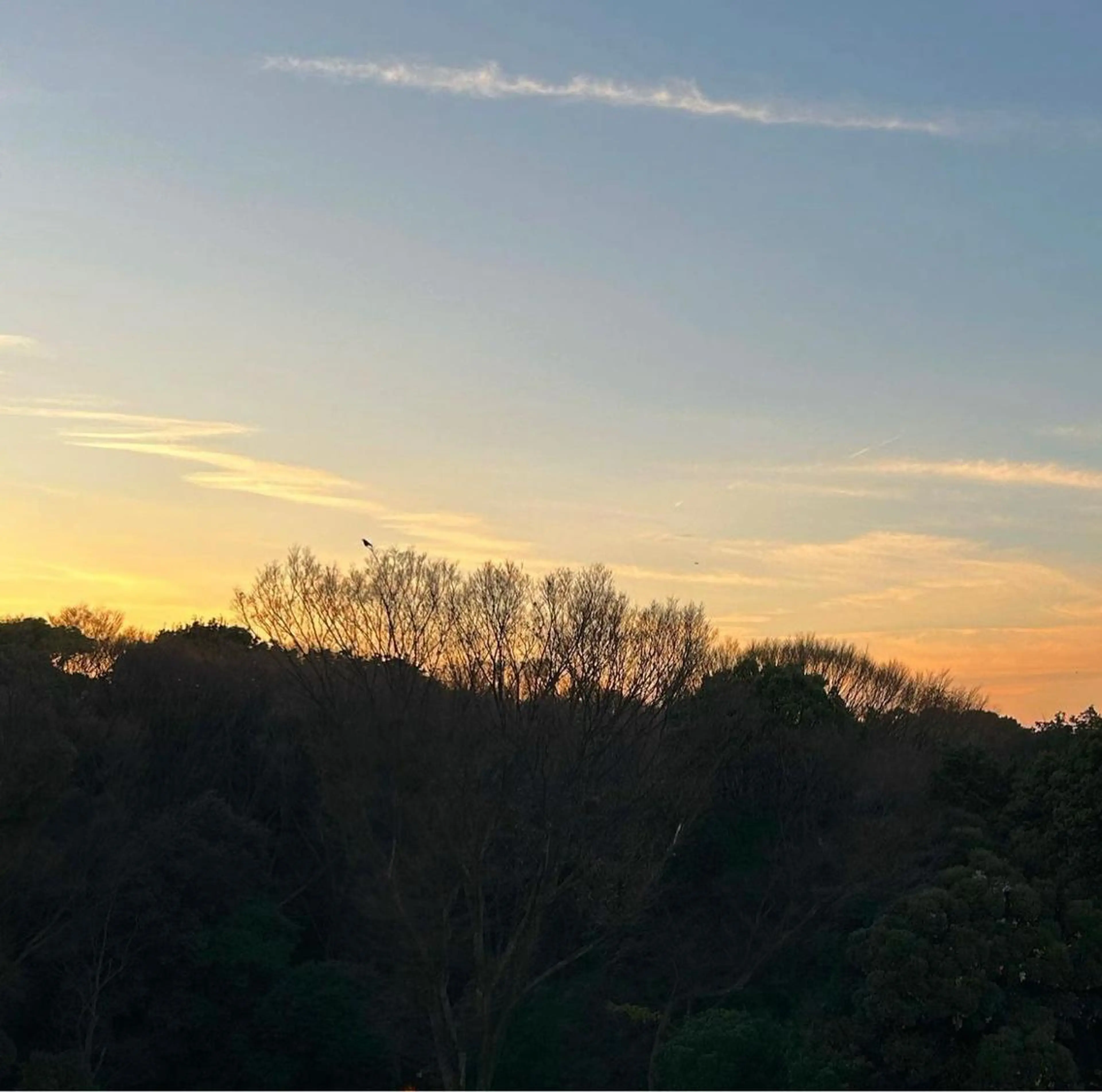 セミロング カラー パーマ ヘアアレンジ メンズ キッズ GOTODAY SHAiRE SALON (原宿本店)所属・stylist 🎀 kanaのその他イメージ