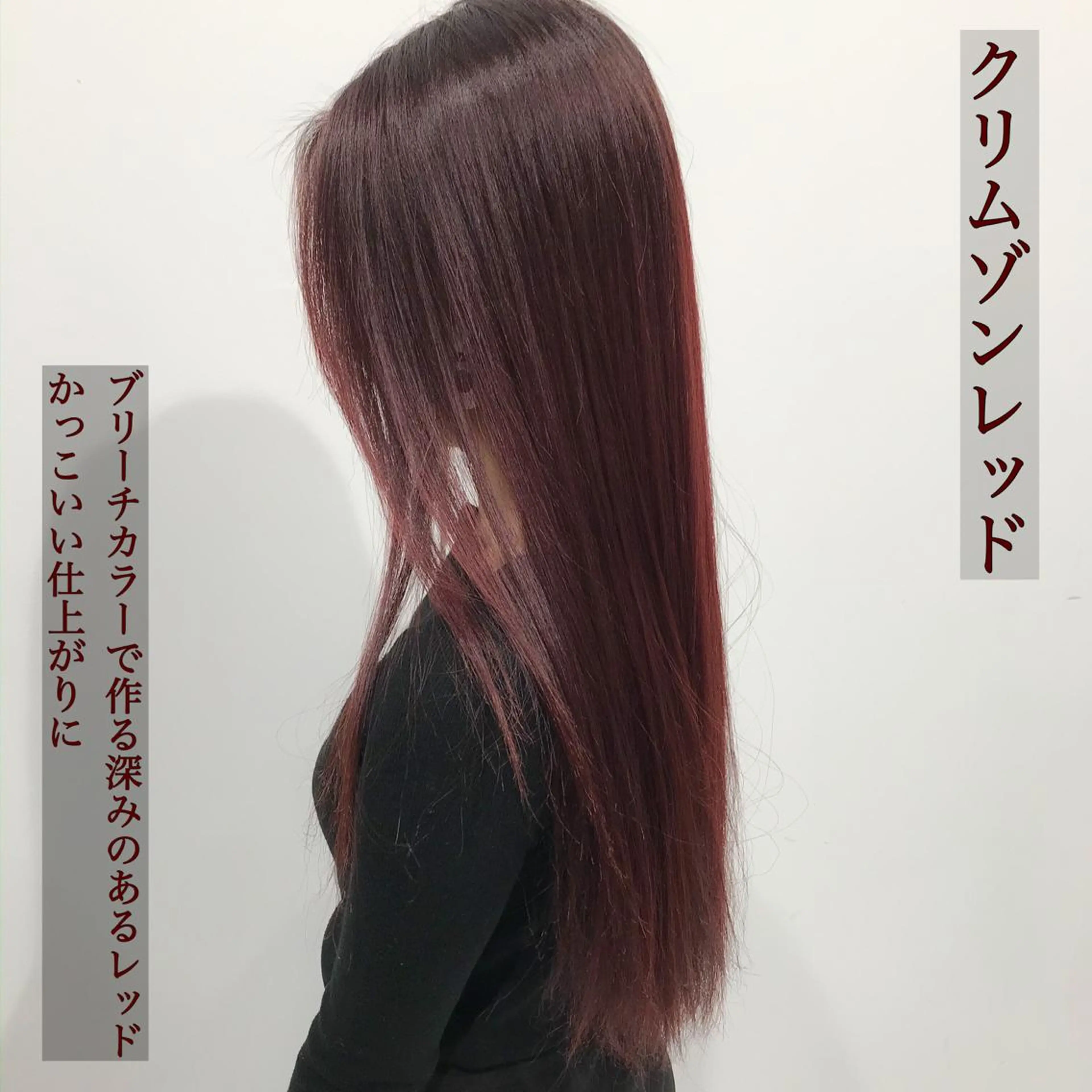 ロング カラー ヘアアレンジ レッドカラー 特別モデル価格 タカシマイッセイのヘアスタイル