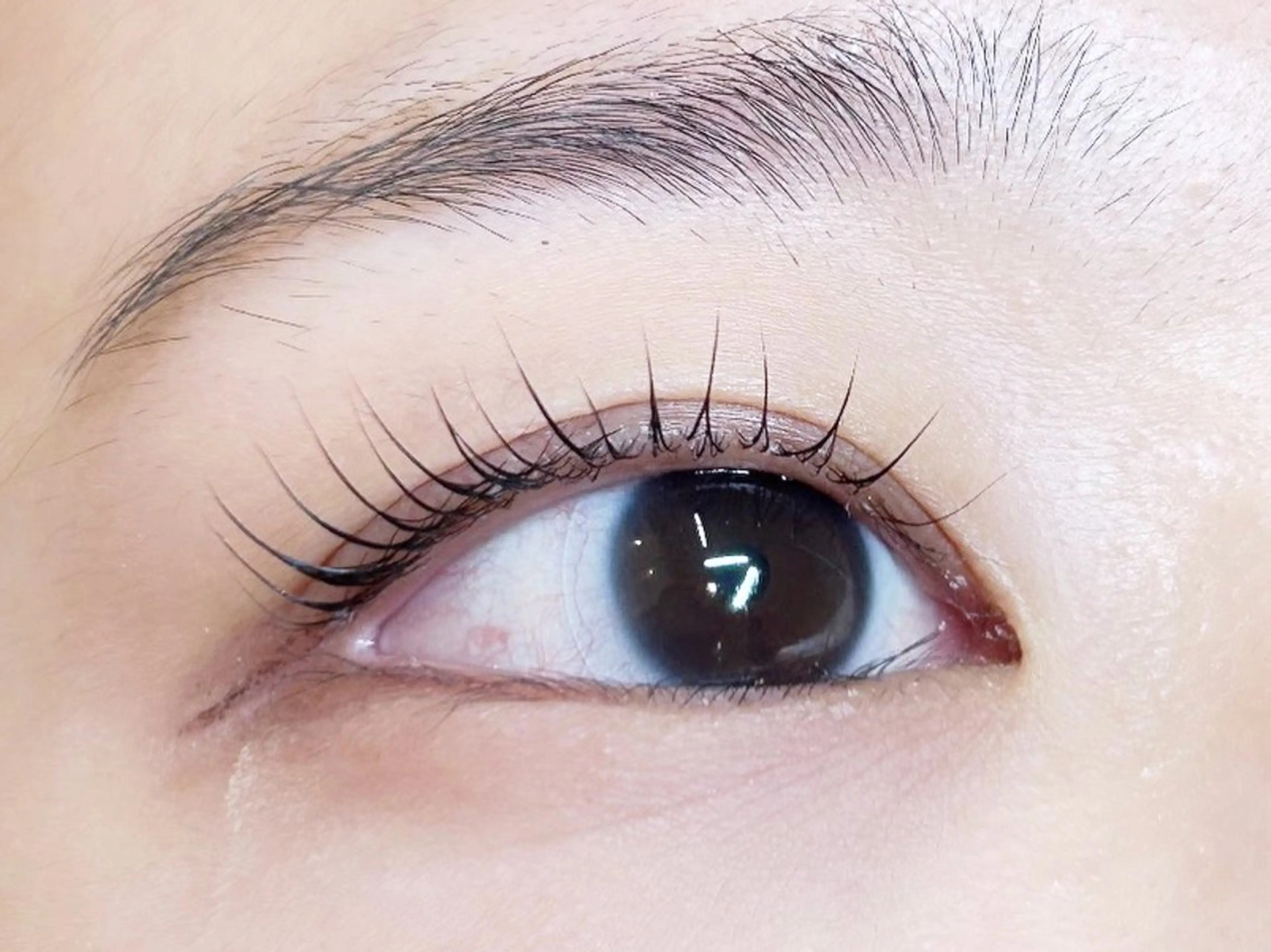 マツエク・マツパ パリジェンヌラッシュリフト eight eye aimuのマツエク・マツパデザイン
