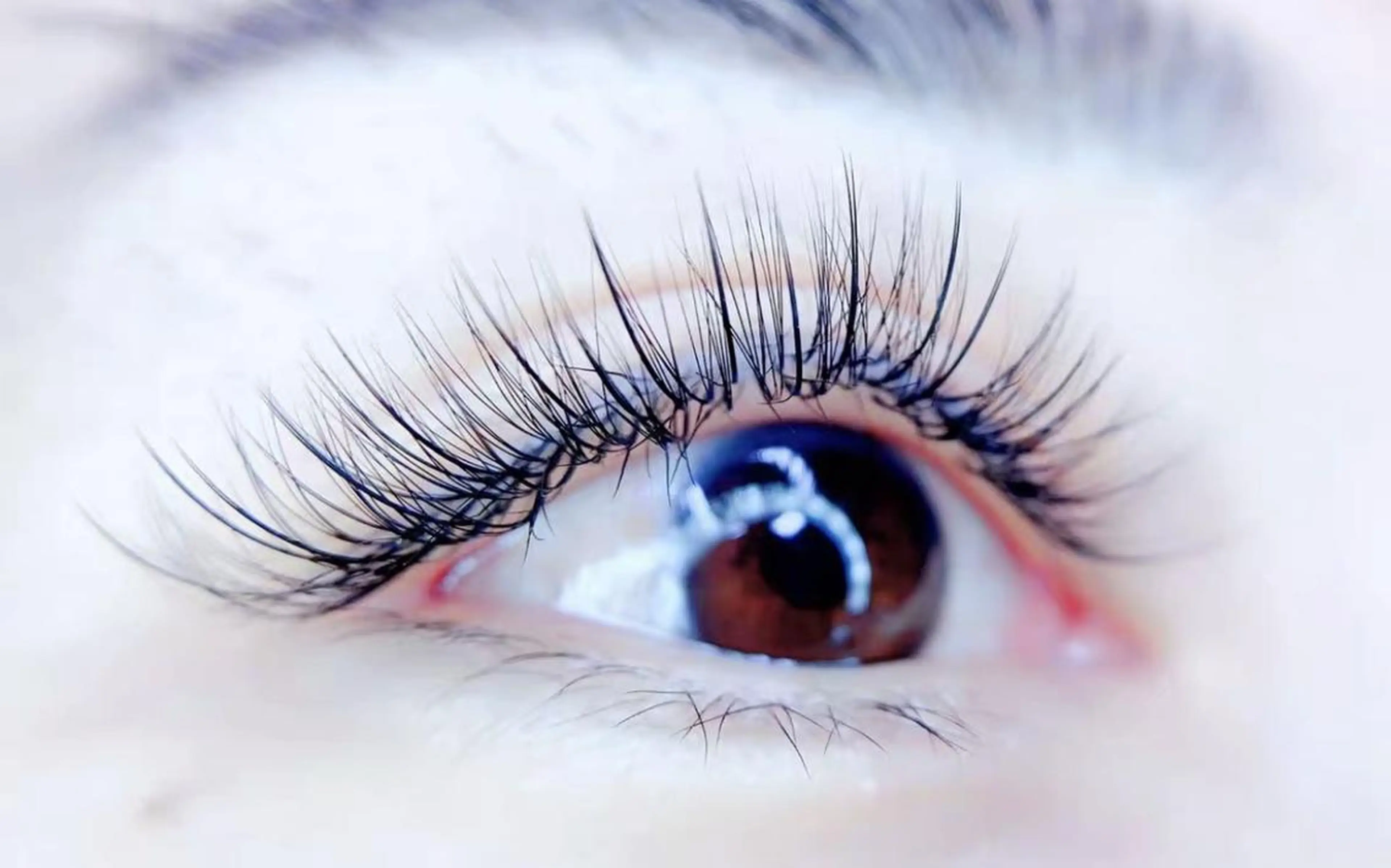 マツエク・マツパ Cute B e au t yのマツエク・マツパデザイン