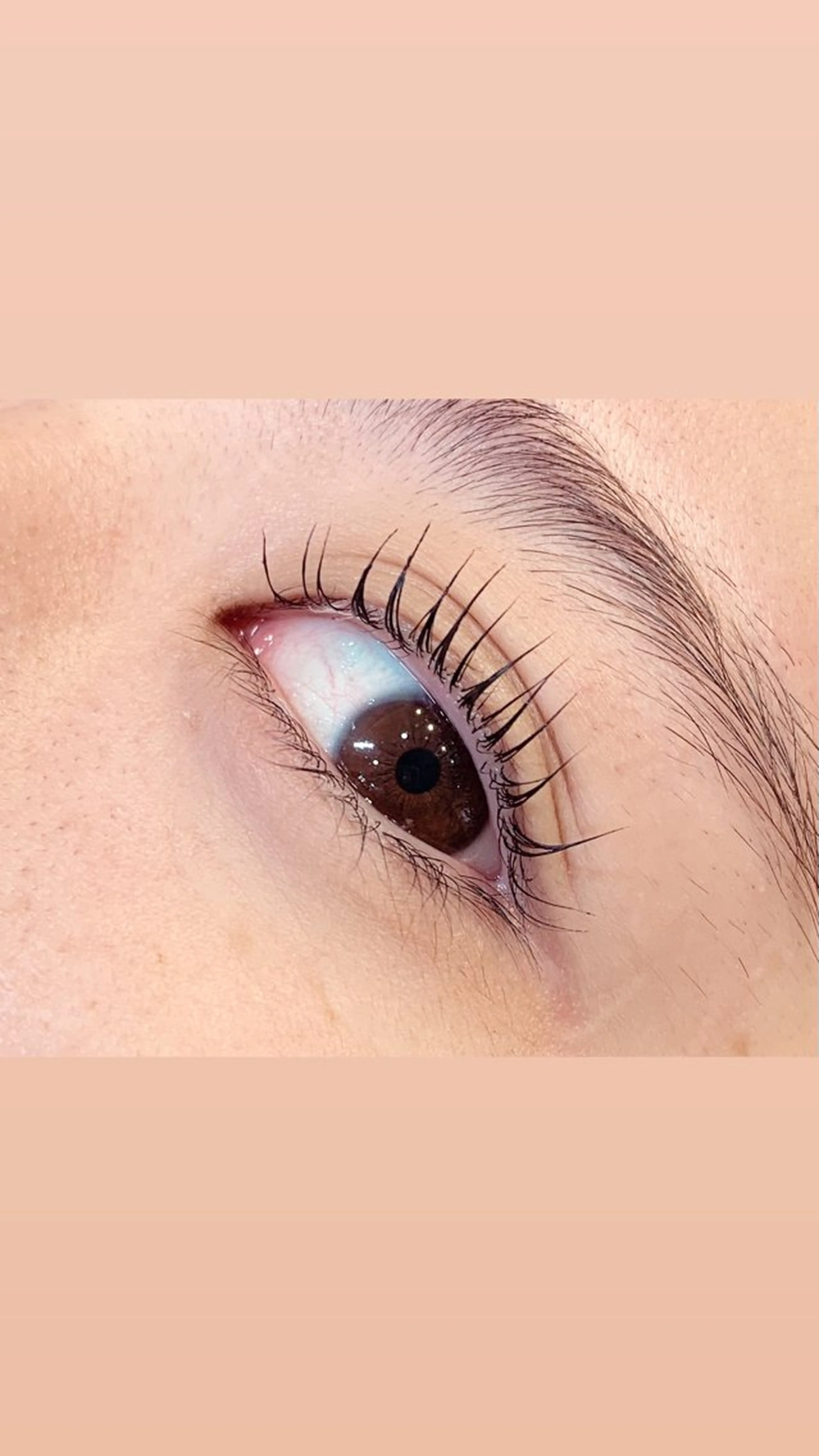 マツエク・マツパ パリジェンヌラッシュリフト hirakawa makoの眉毛・アイブロウイメージ