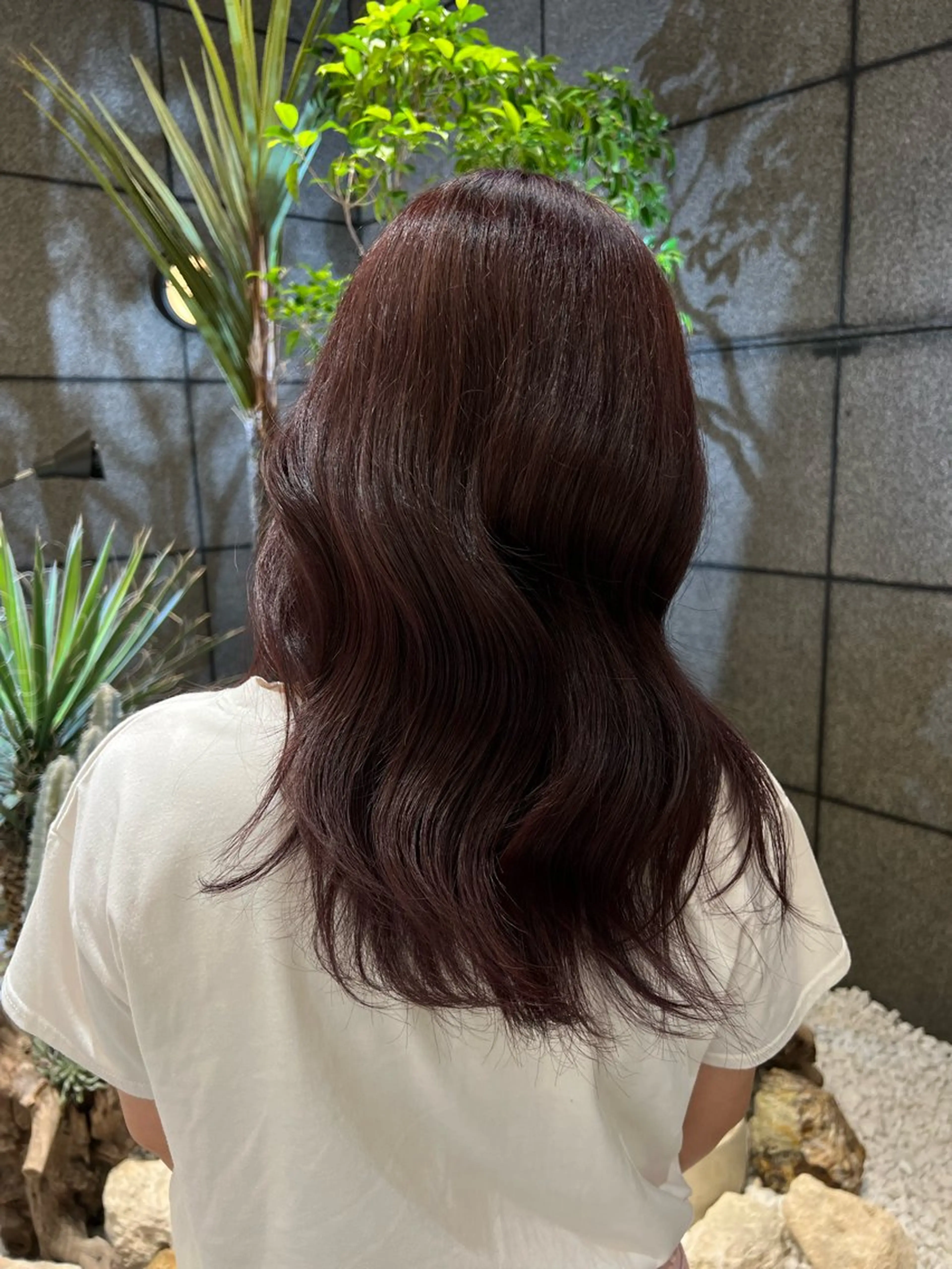 セミロング カラー ボルドーカラー ヘアカラー 酸性ストレート/ カスミ🩰のヘアスタイル