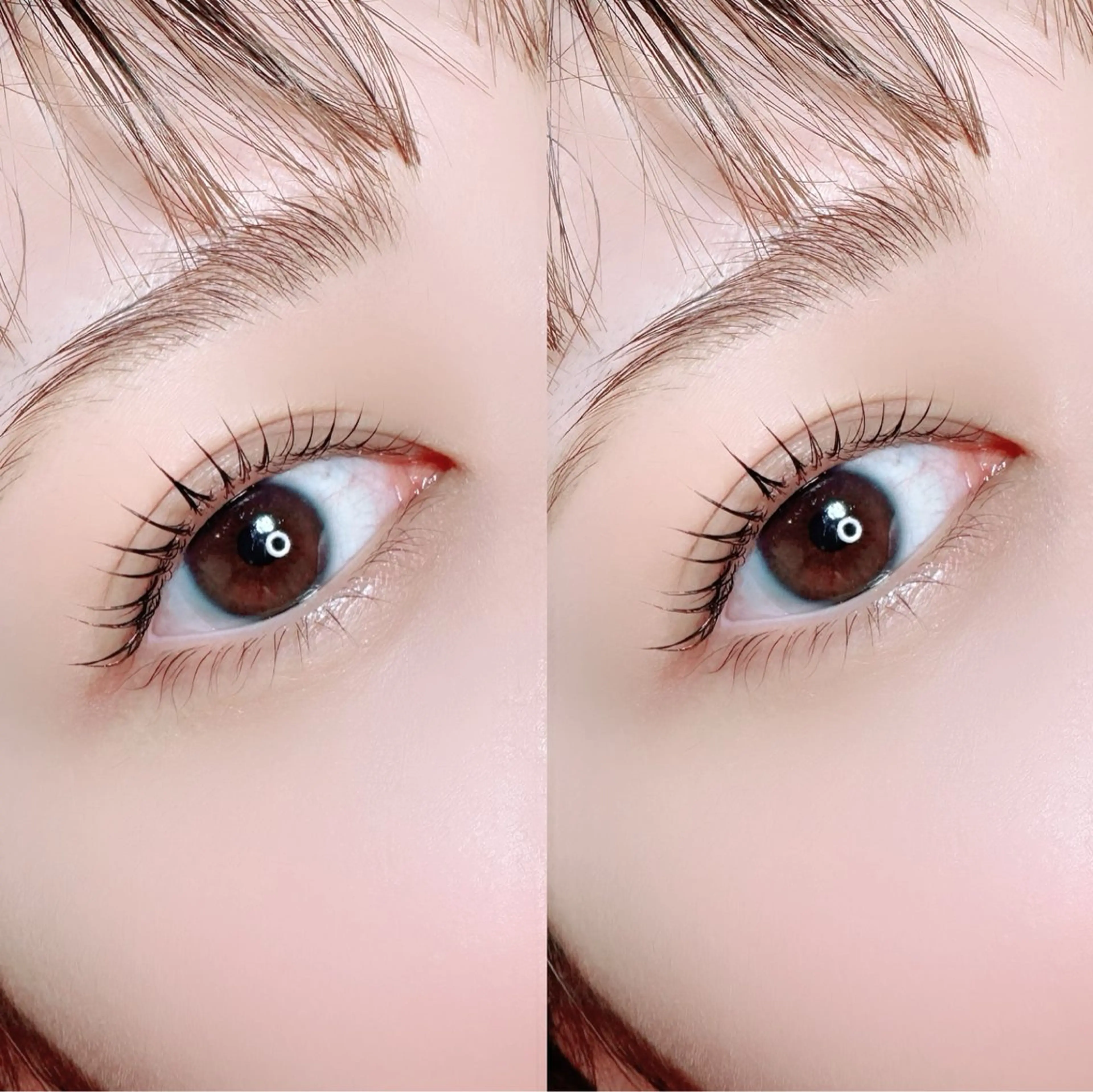 9/2​〜​9/9練習モデル募集❣️似合わせまつげパーマ💗の写真