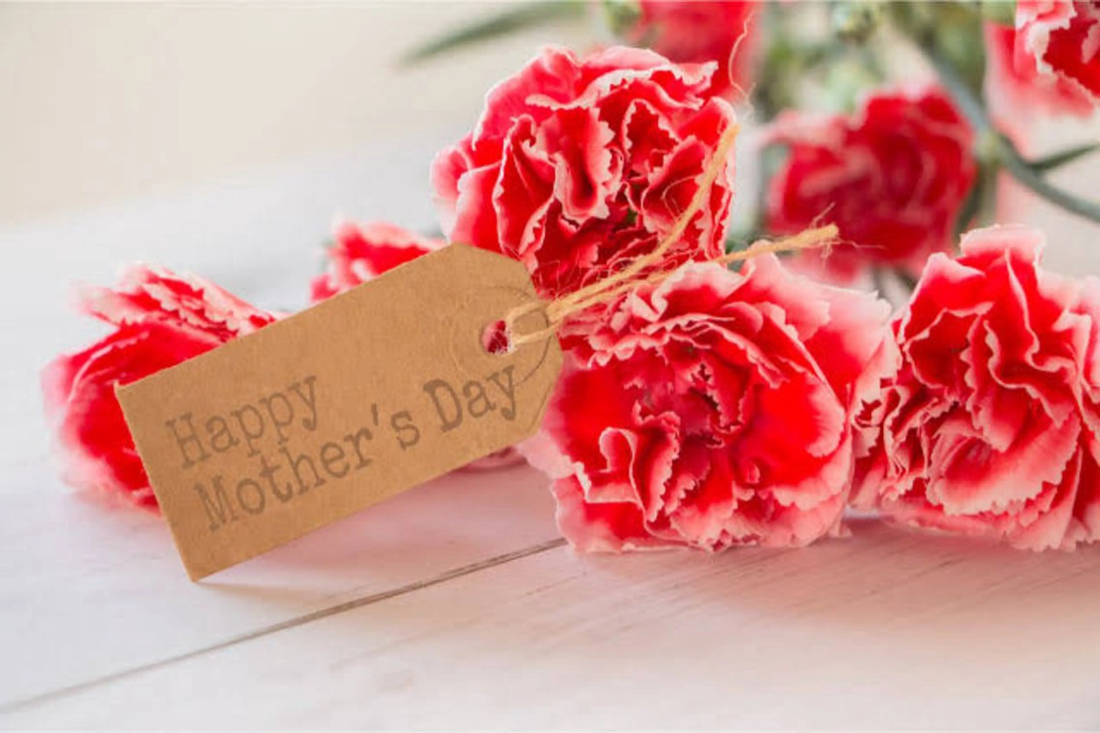 高岡⌇ Ayaka🌻のエステ・リラクイメージ