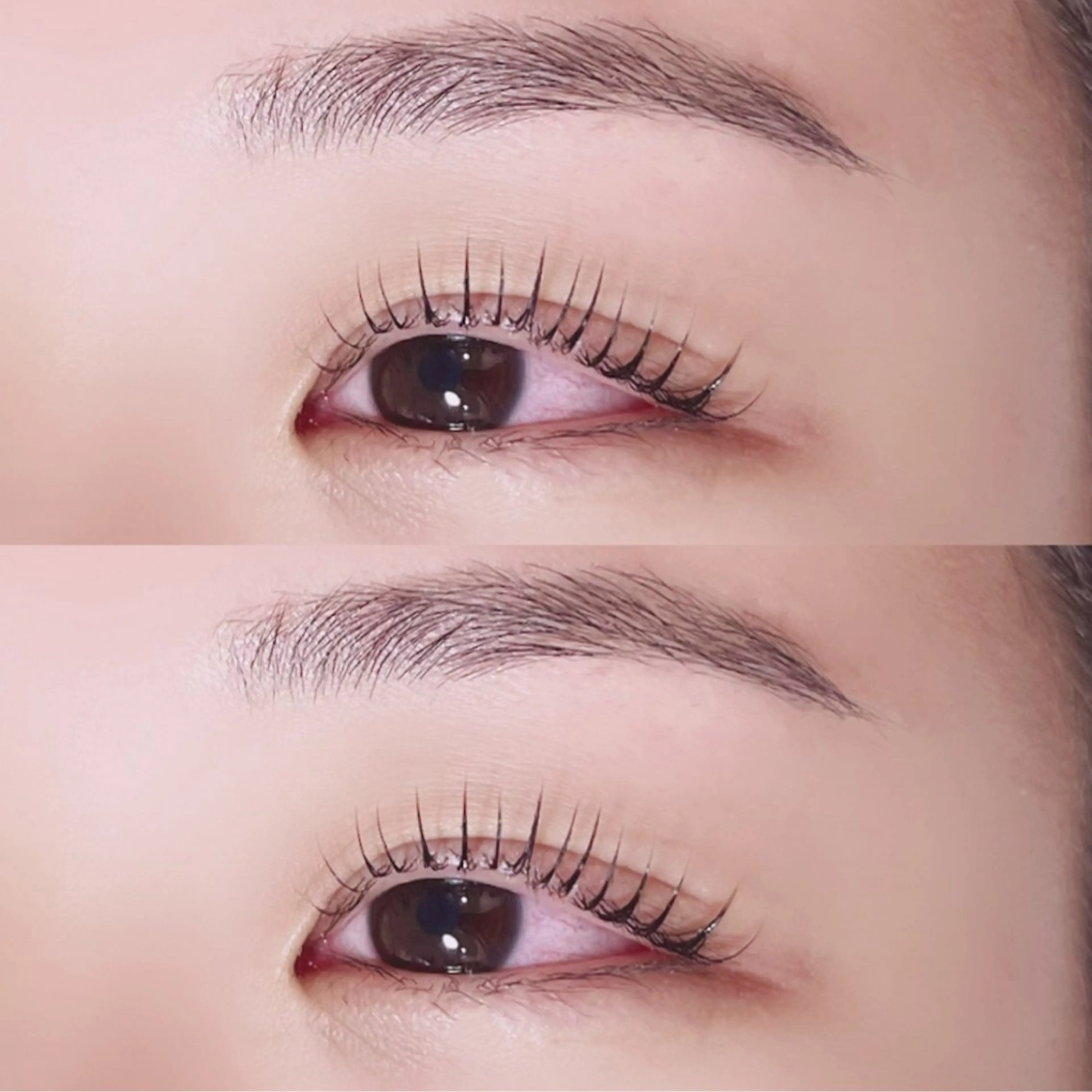 マツエク・マツパ Maaz lash 🐾3のマツエク・マツパデザイン