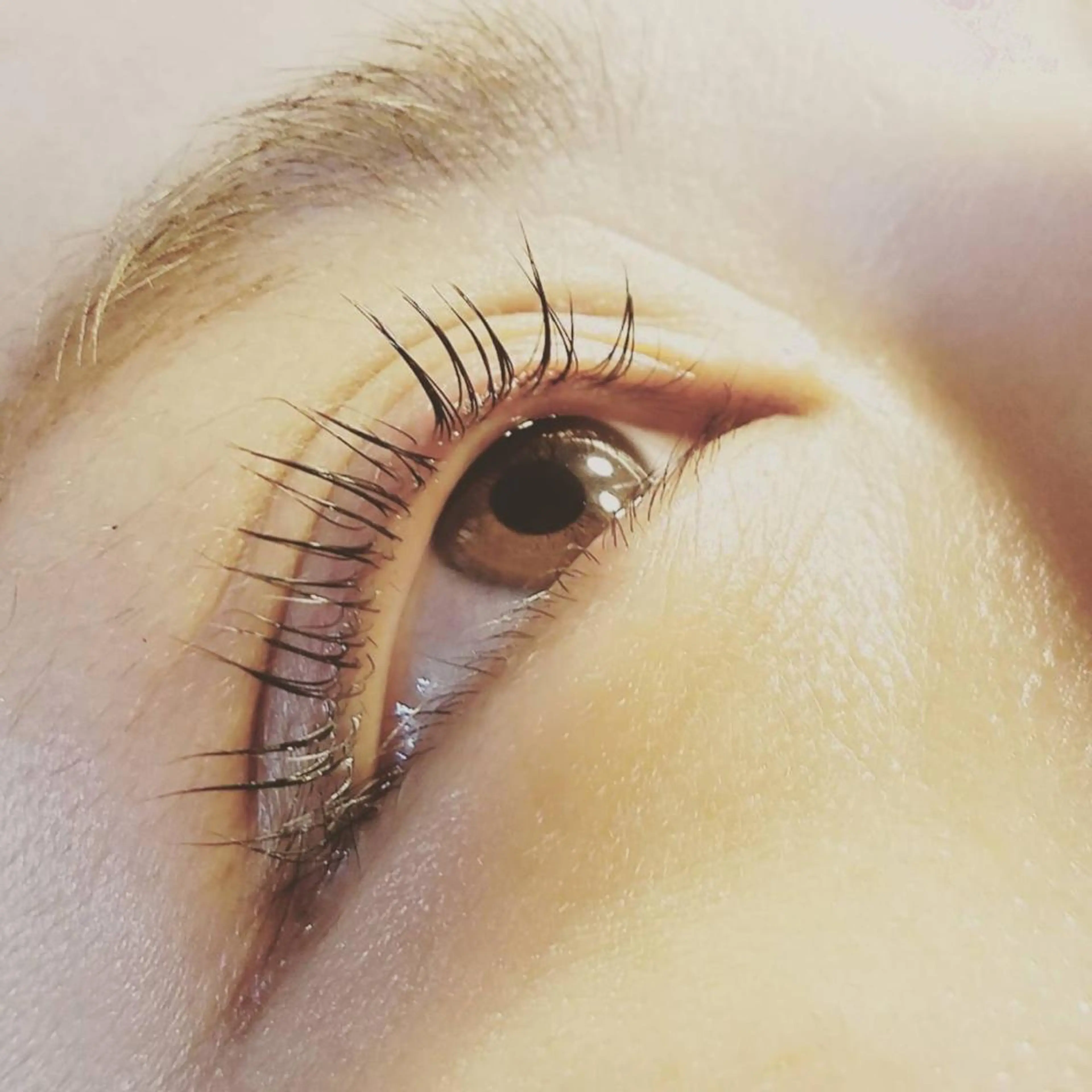 マツエク・マツパ 一重×まつ毛パーマ マツパ Sifa eyelashのマツエク・マツパデザイン