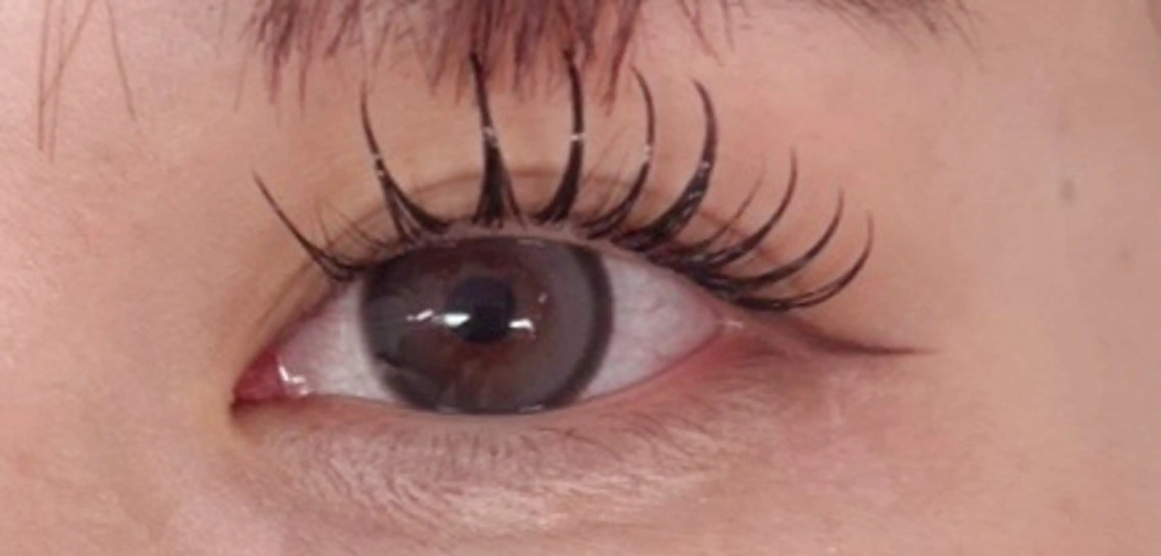 11月限定🩵パリジェンヌ×バインドロック 60束or80束(オフなし)の写真