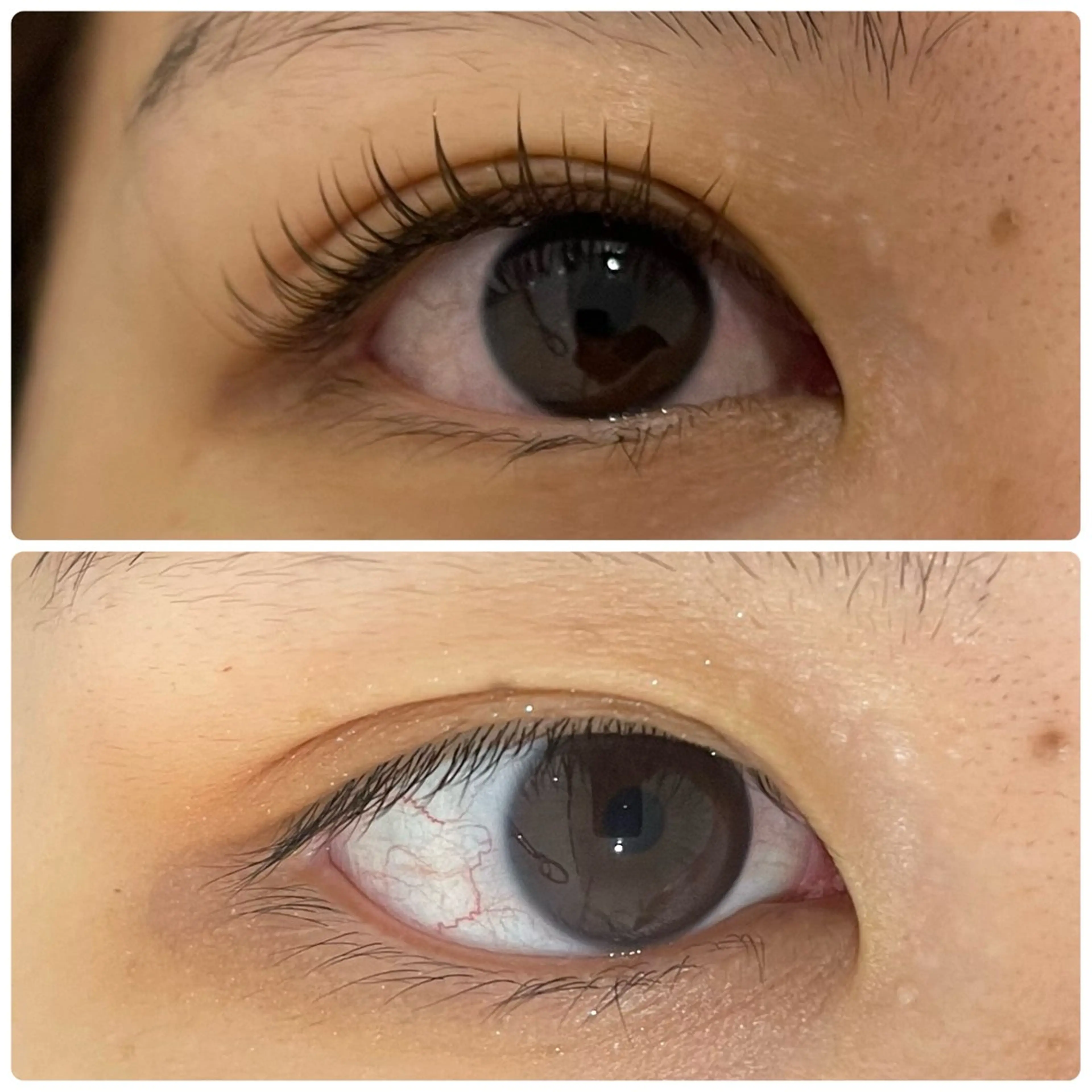 マツエク・マツパ 付け放題 フラットラッシュ ナチュラル 一重×まつ毛パーマ マツエク eyelash salon　TOKIのマツエク・マツパデザイン