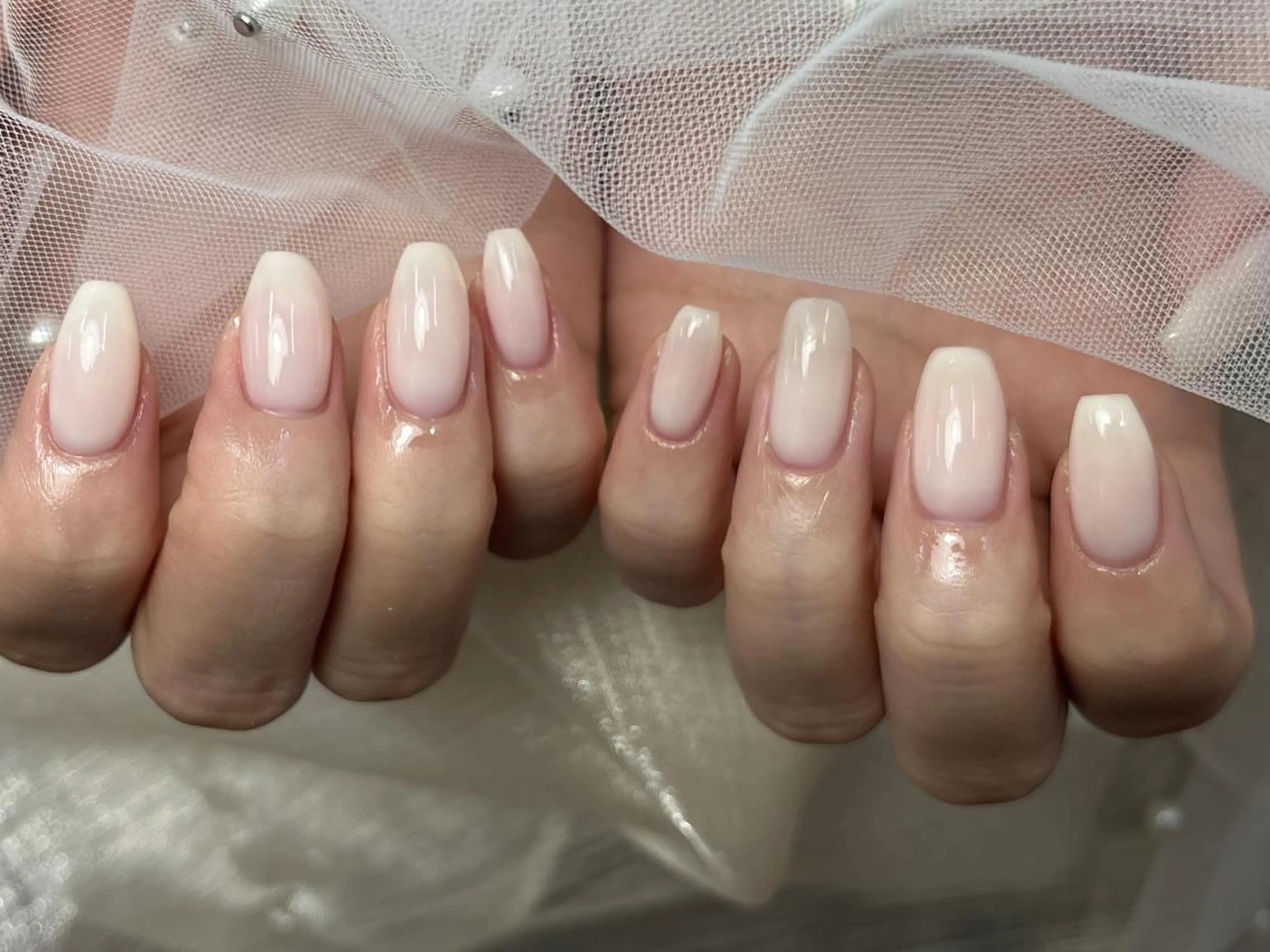 ネイル グラデーション ピンク シンプルネイル ホワイト ハンドネイル ToliyDeliy Nail Salonのネイルデザイン