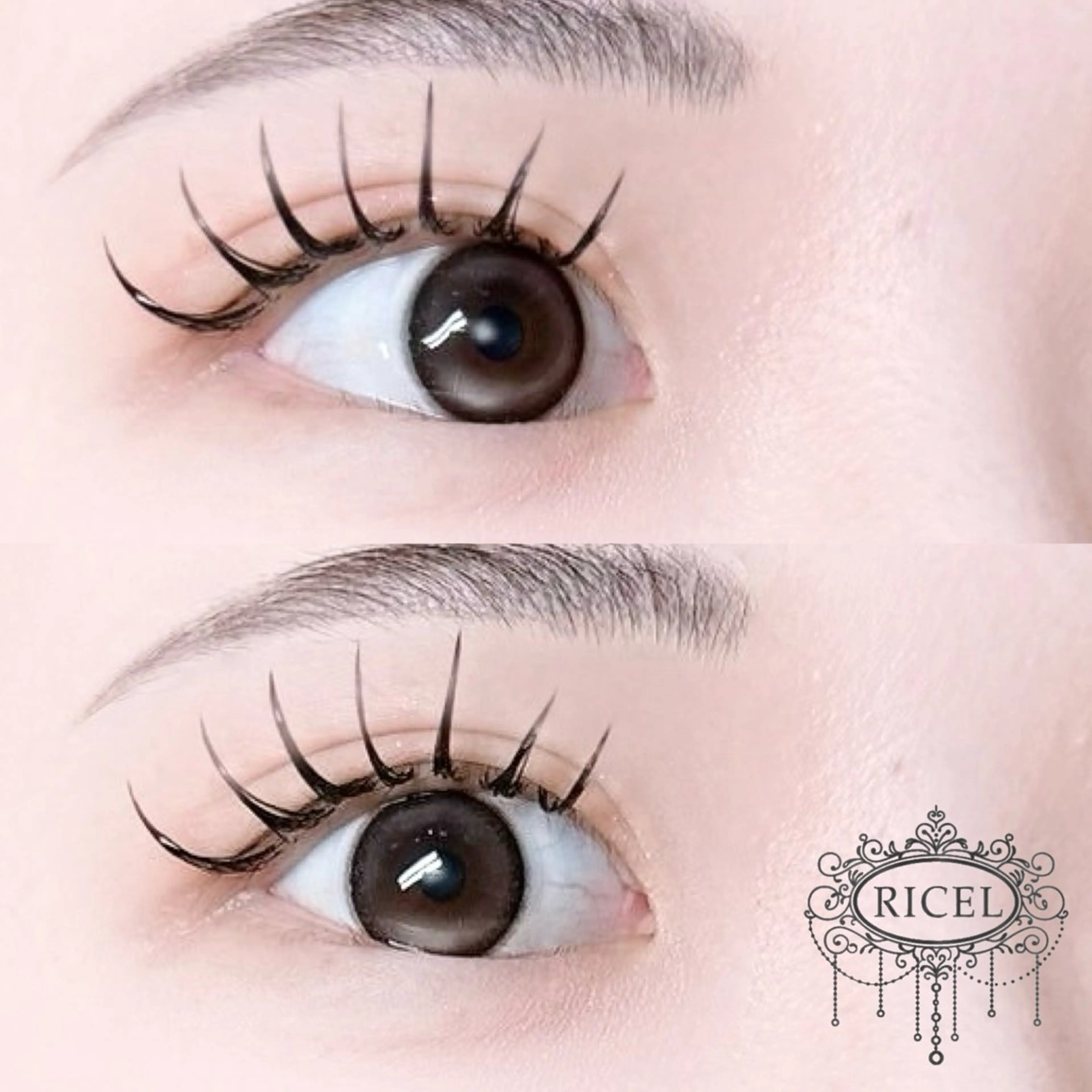 マツエク・マツパ Shiima ꪔ̤̮のマツエク・マツパデザイン