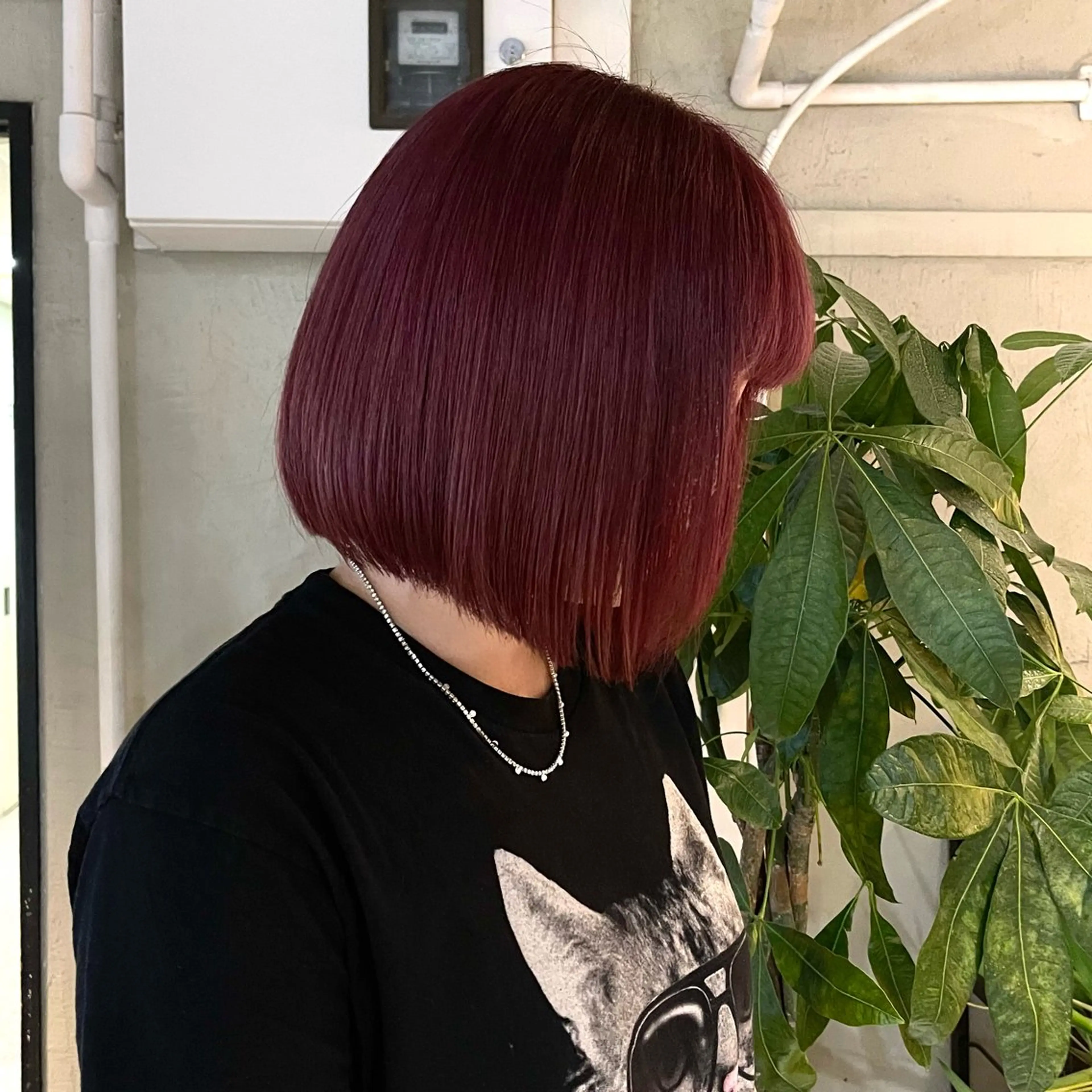 カラー ☪ ‎ハイトーン信者 ☪️yumeka✨️のヘアスタイル