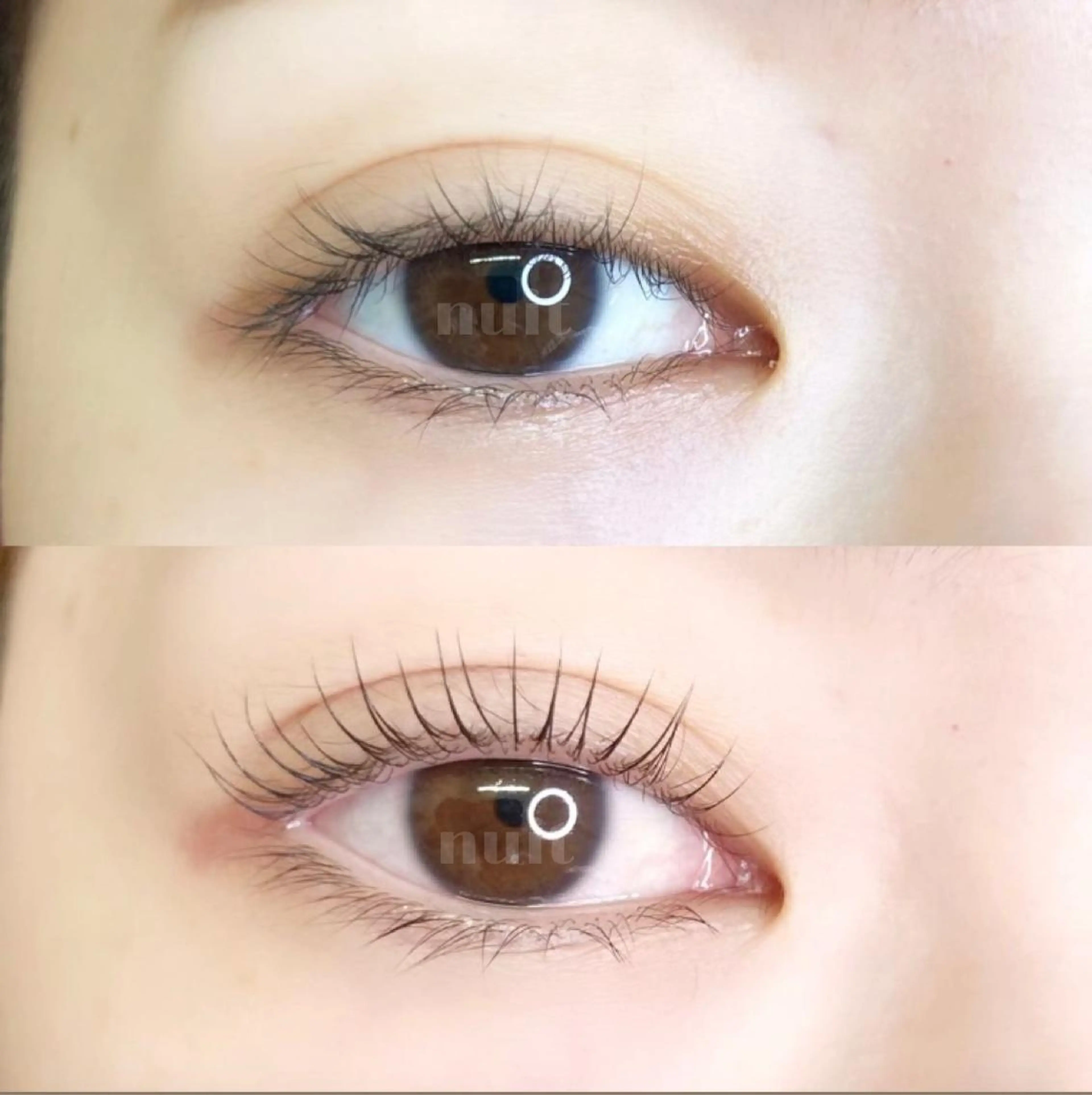 マツエク・マツパ パリジェンヌラッシュリフト マツパ eyelash  salon  nuit【ニュイ】所属・nuit 【ニュイ】 大宮 /　yucaのマツエク・マツパデザイン