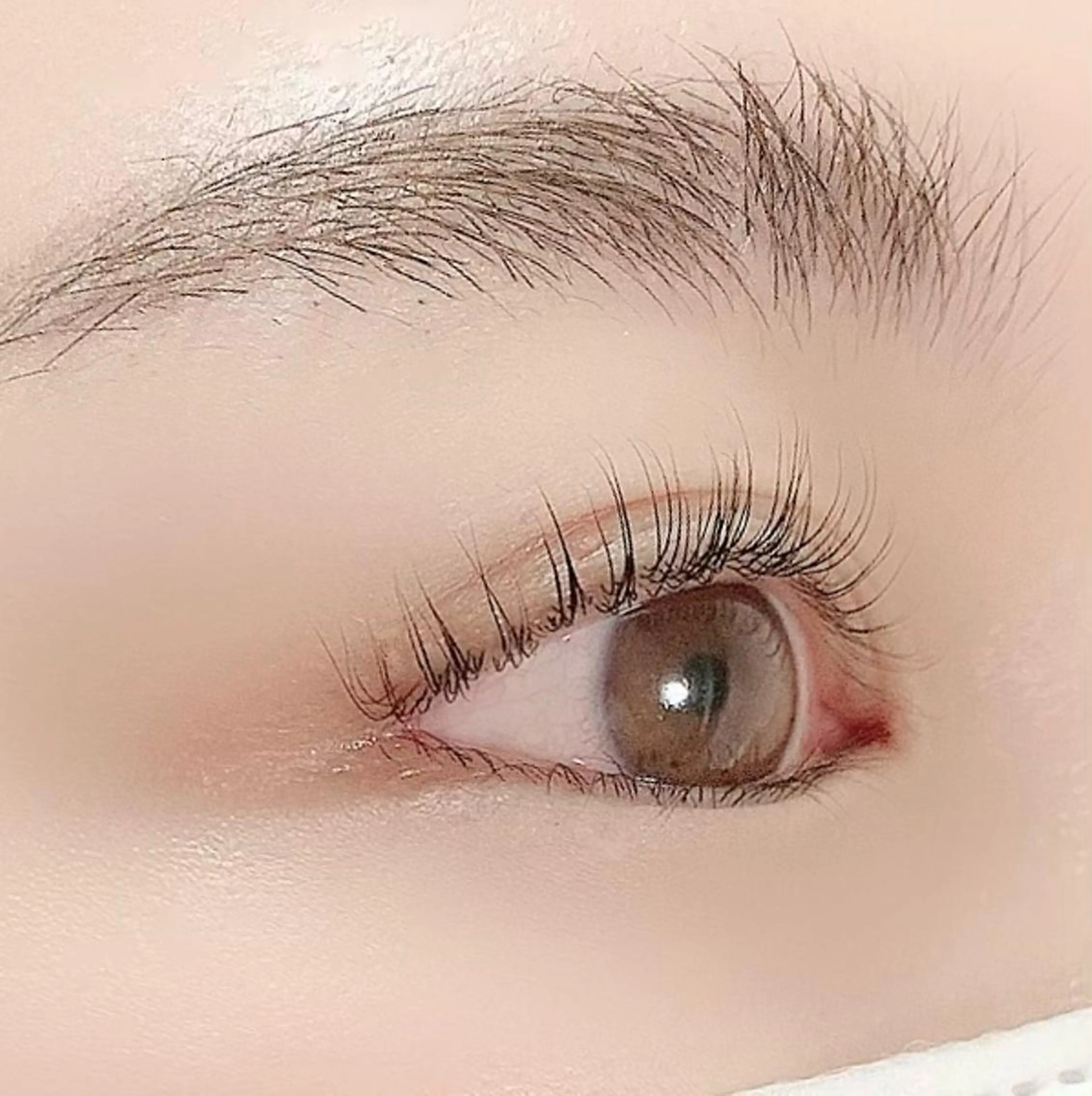 マツエク・マツパ plume eyelashの眉毛・アイブロウイメージ