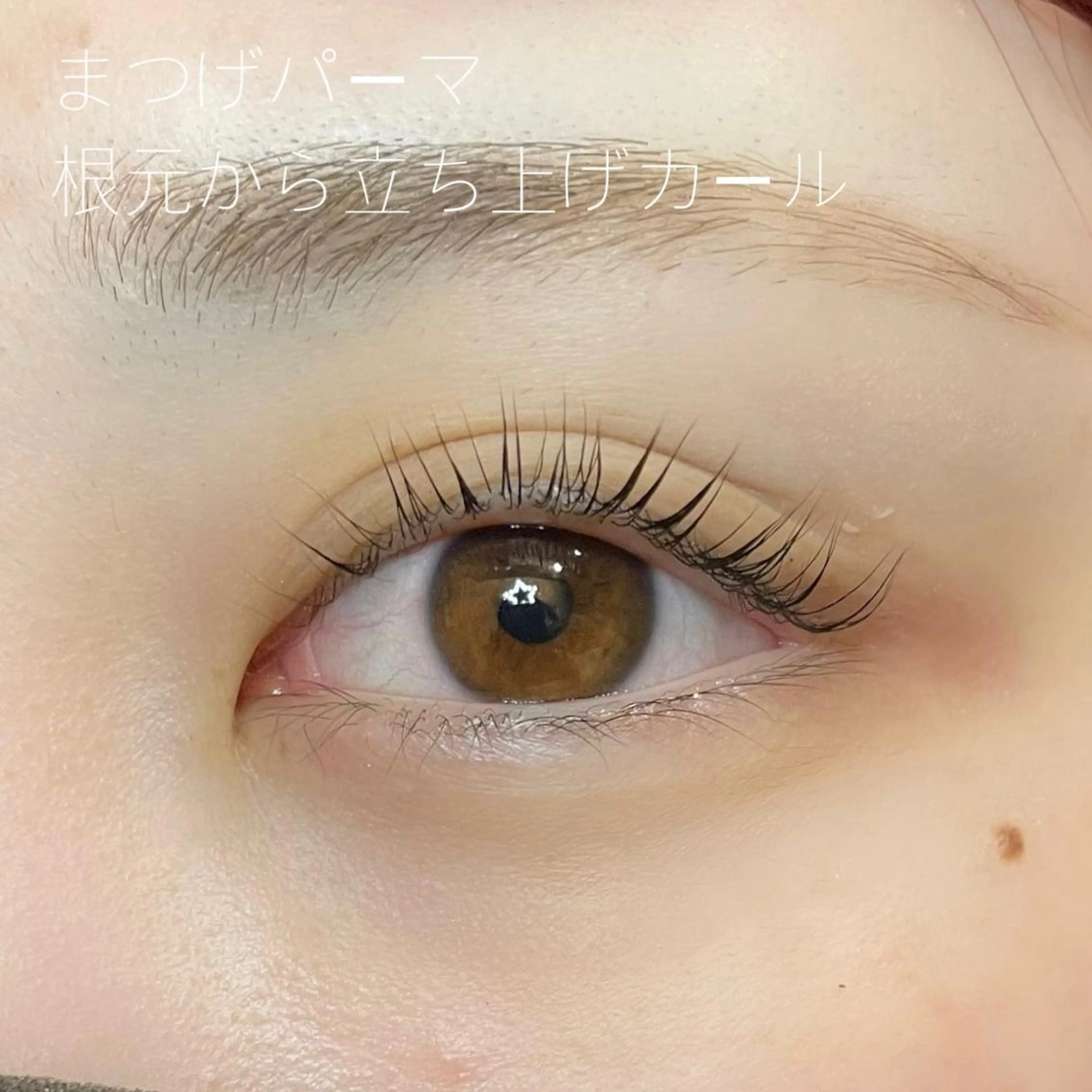 マツエク・マツパ GO TODAY SHAiRE SALON Vellmie店所属・吉祥寺kasumi 🌛eye/browのマツエク・マツパデザイン