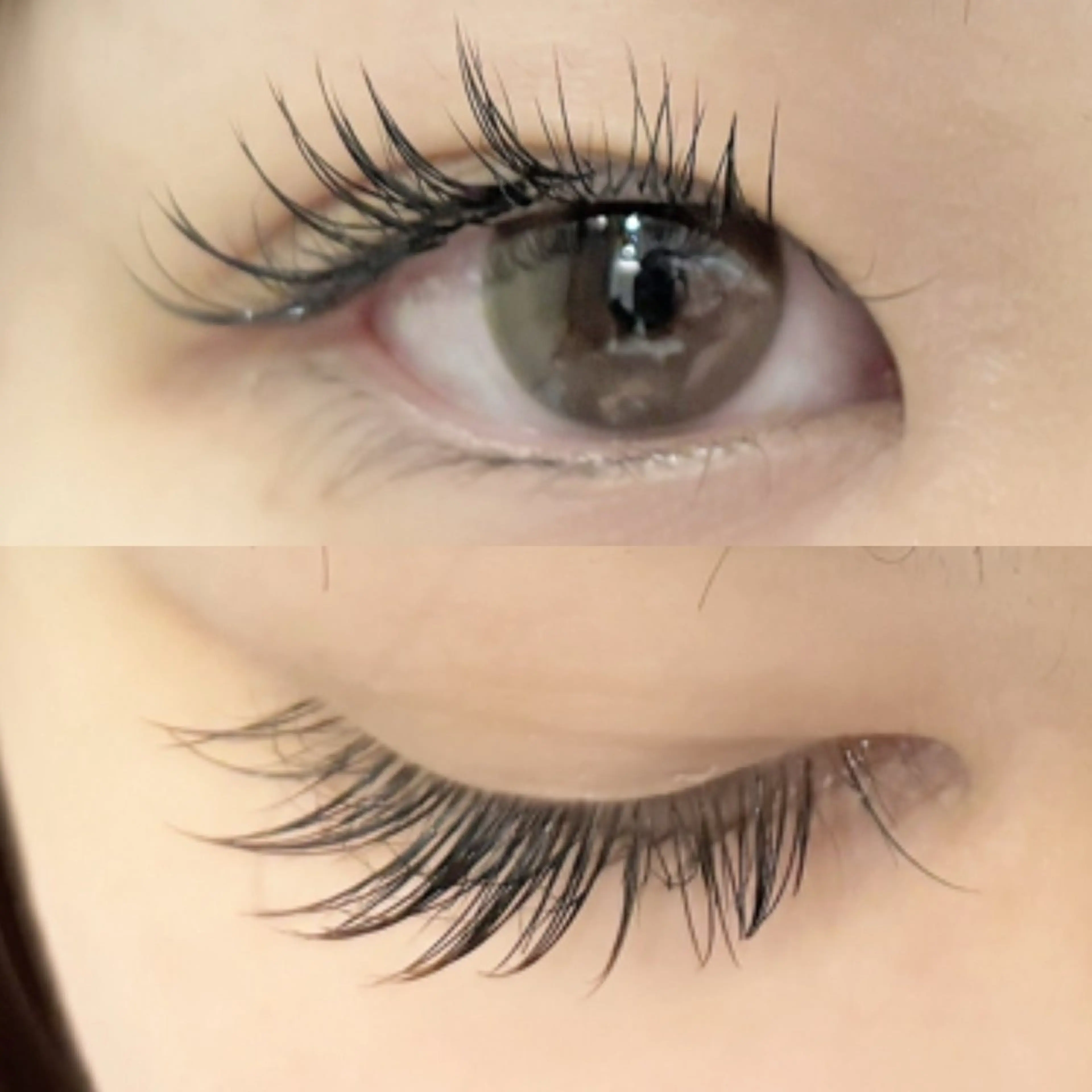 マツエク・マツパ Cカール セーブル Dolly Lash 松本のマツエク・マツパデザイン