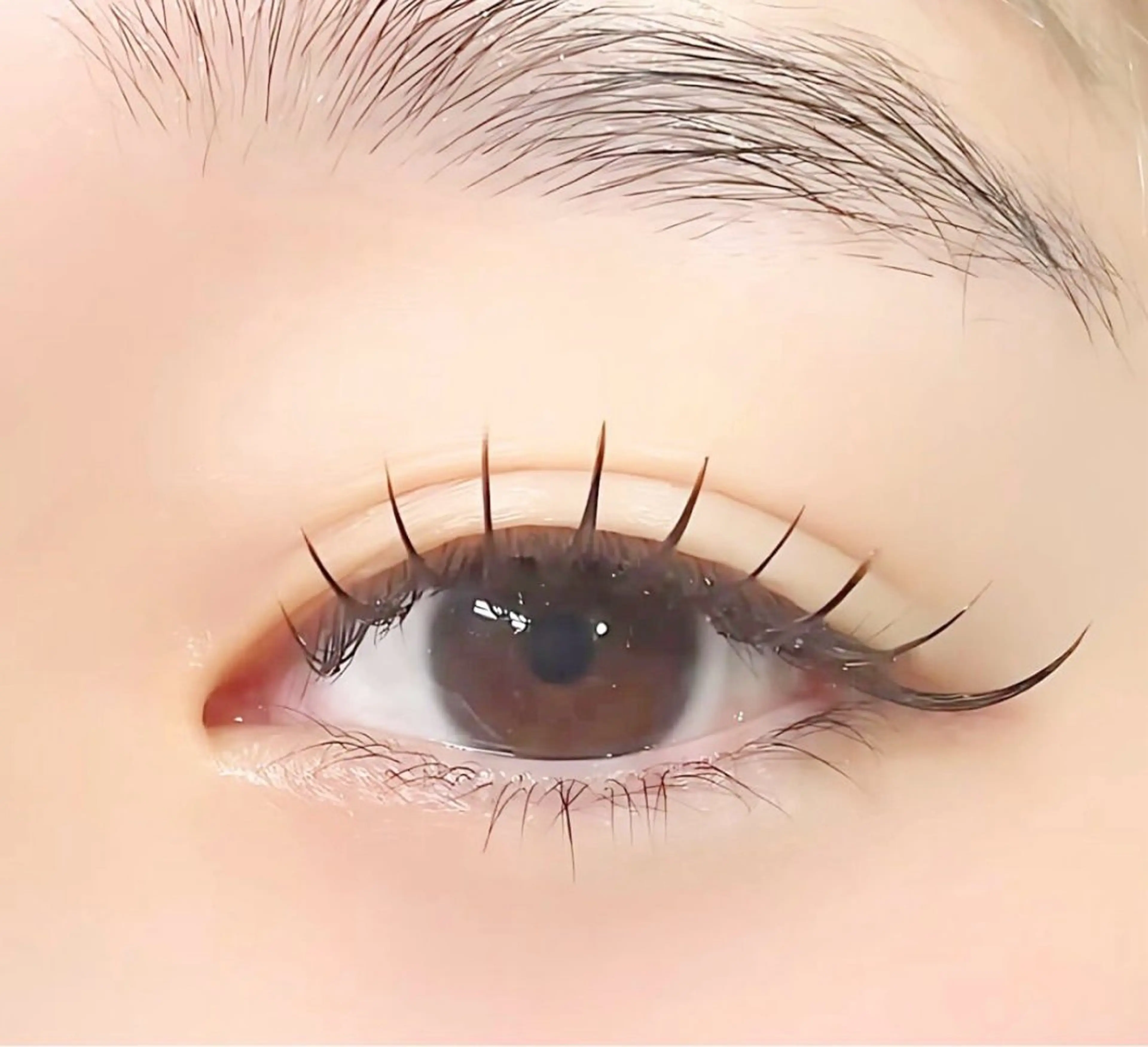 マツエク・マツパ マツエク tote. misakiのマツエク・マツパデザイン