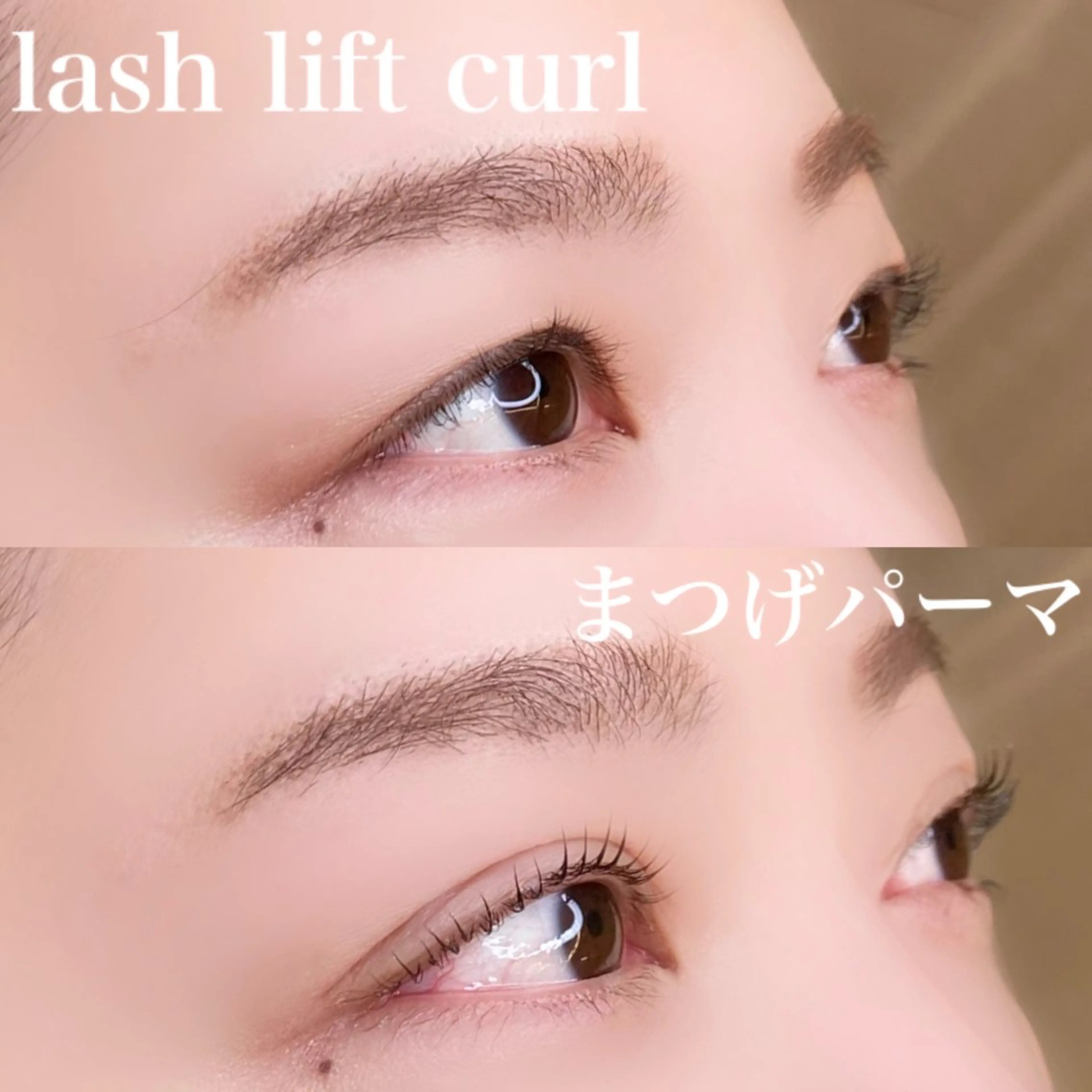 マツエク・マツパ Laul🦖 Motohashiのマツエク・マツパデザイン