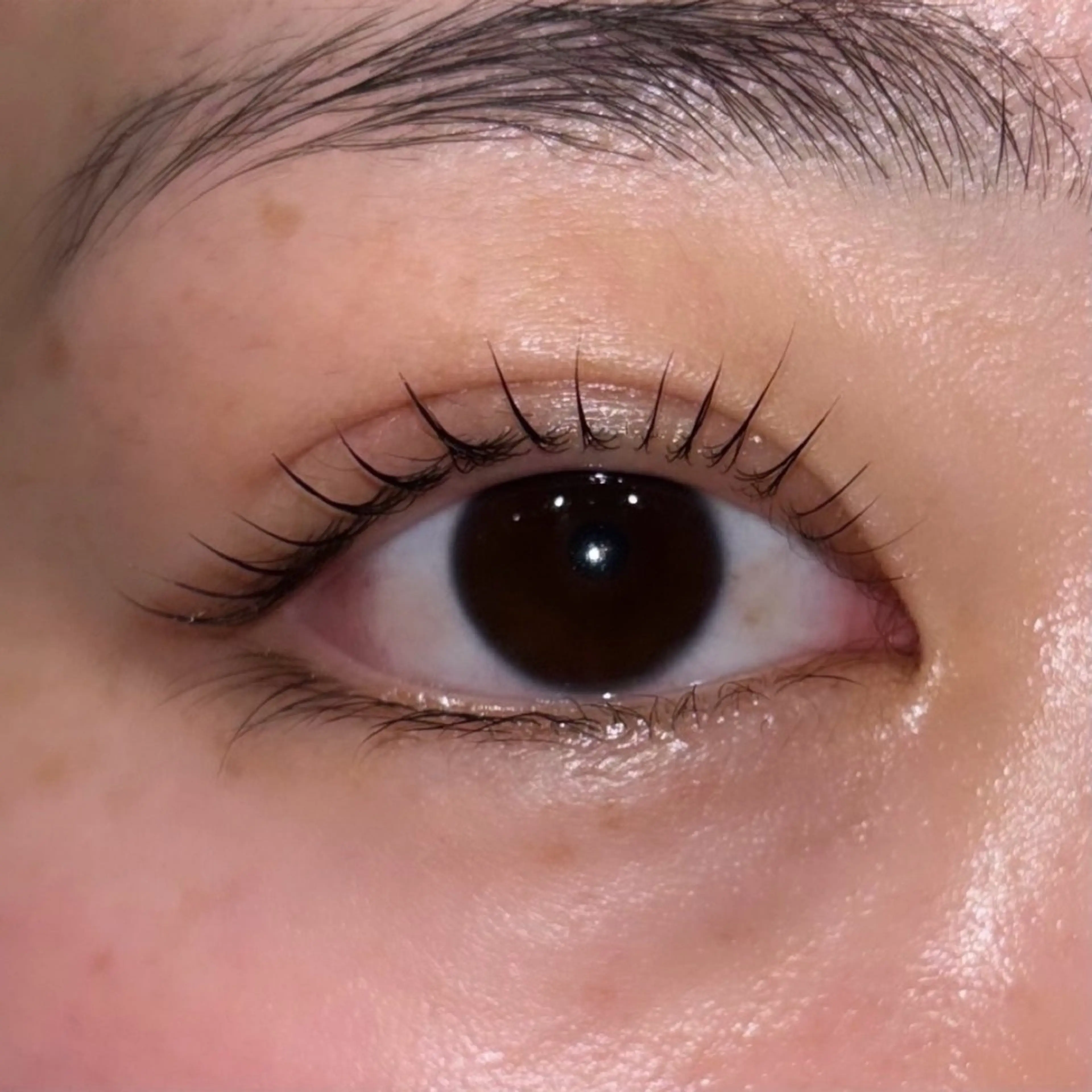 マツエク・マツパ ETERNO小山店 野崎の眉毛・アイブロウイメージ