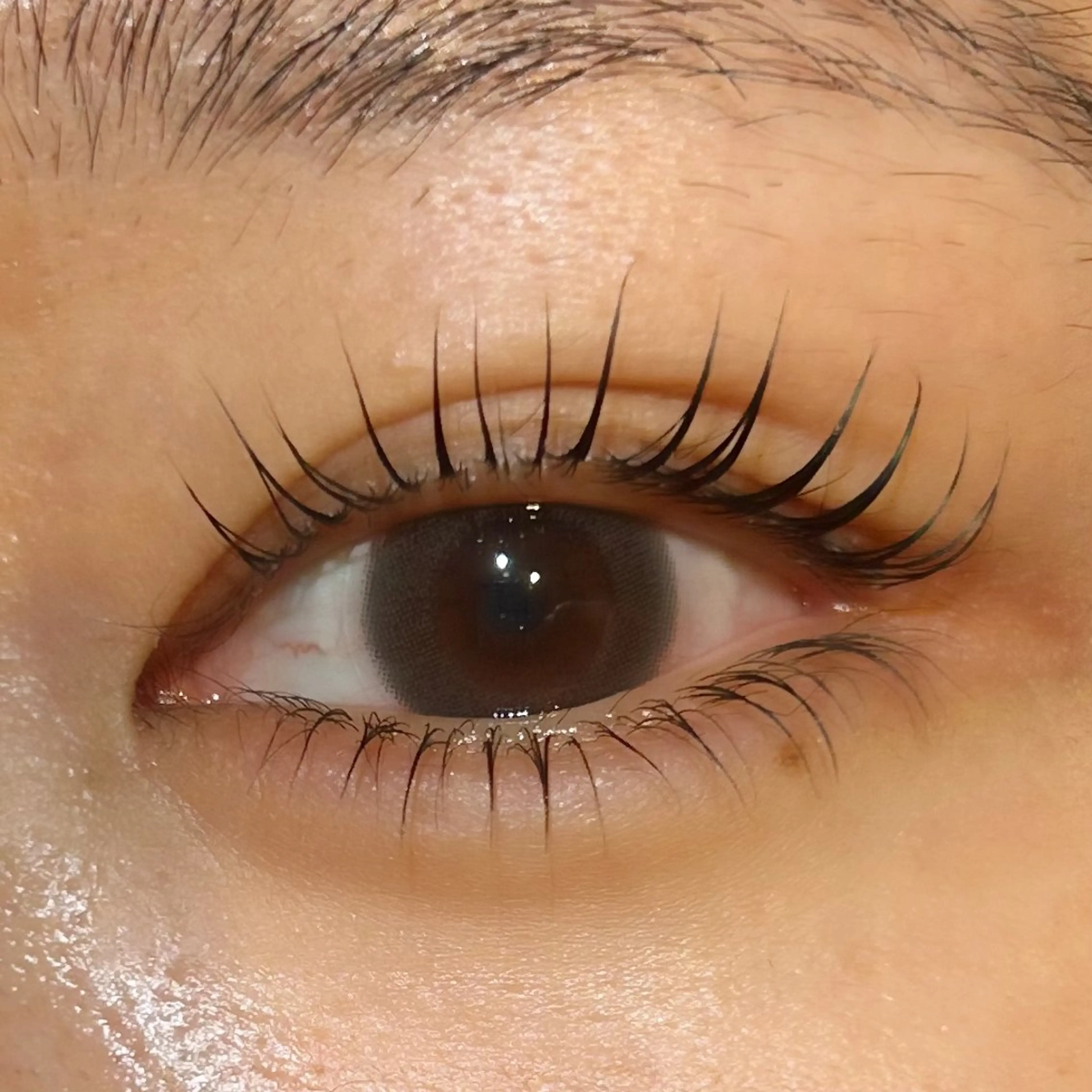 マツエク・マツパ パリジェンヌラッシュリフト siieyelash 鷺沼店HONOKAのマツエク・マツパデザイン