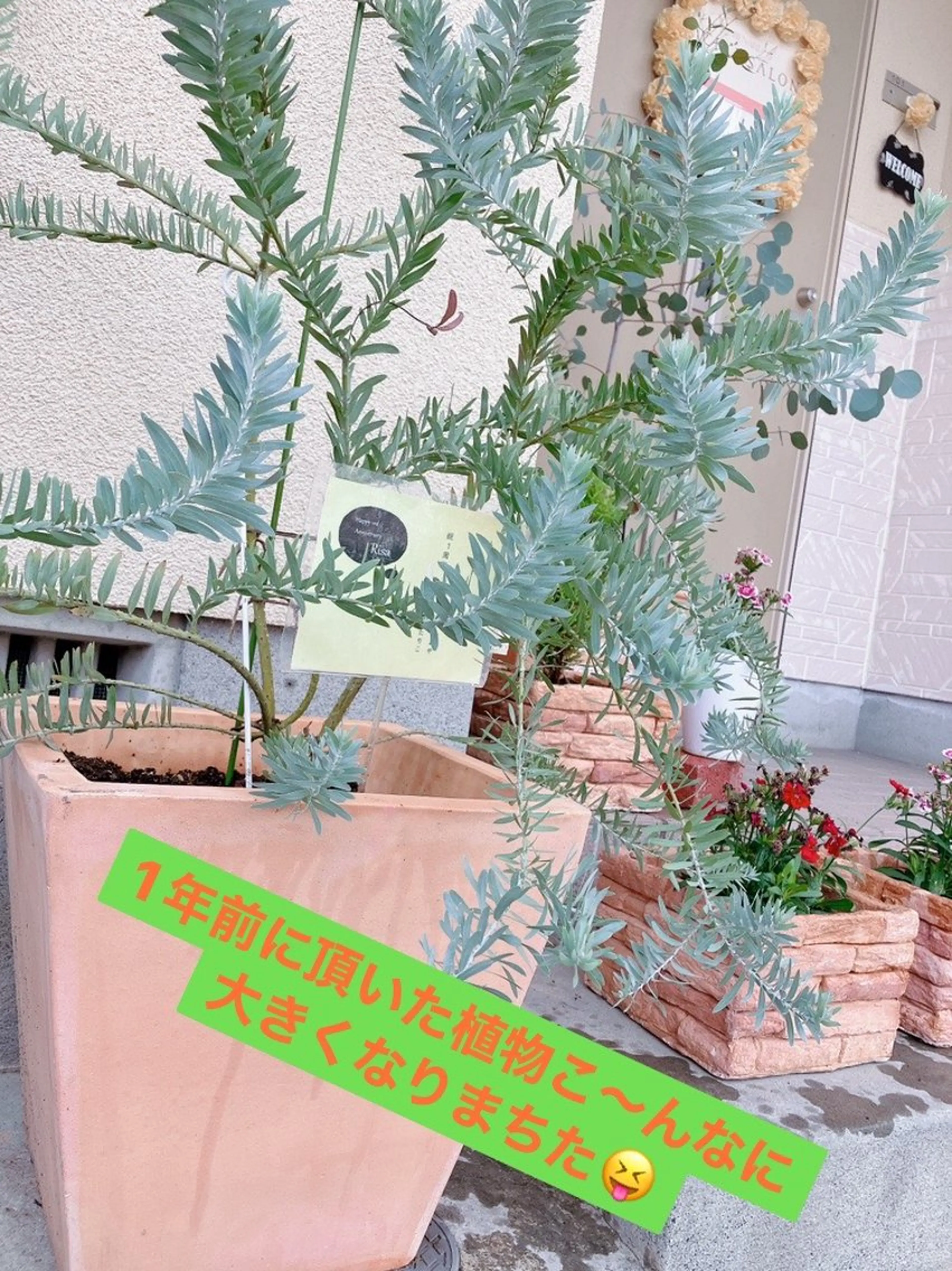 メナード熊本 嘉島のエステ・リラクイメージ