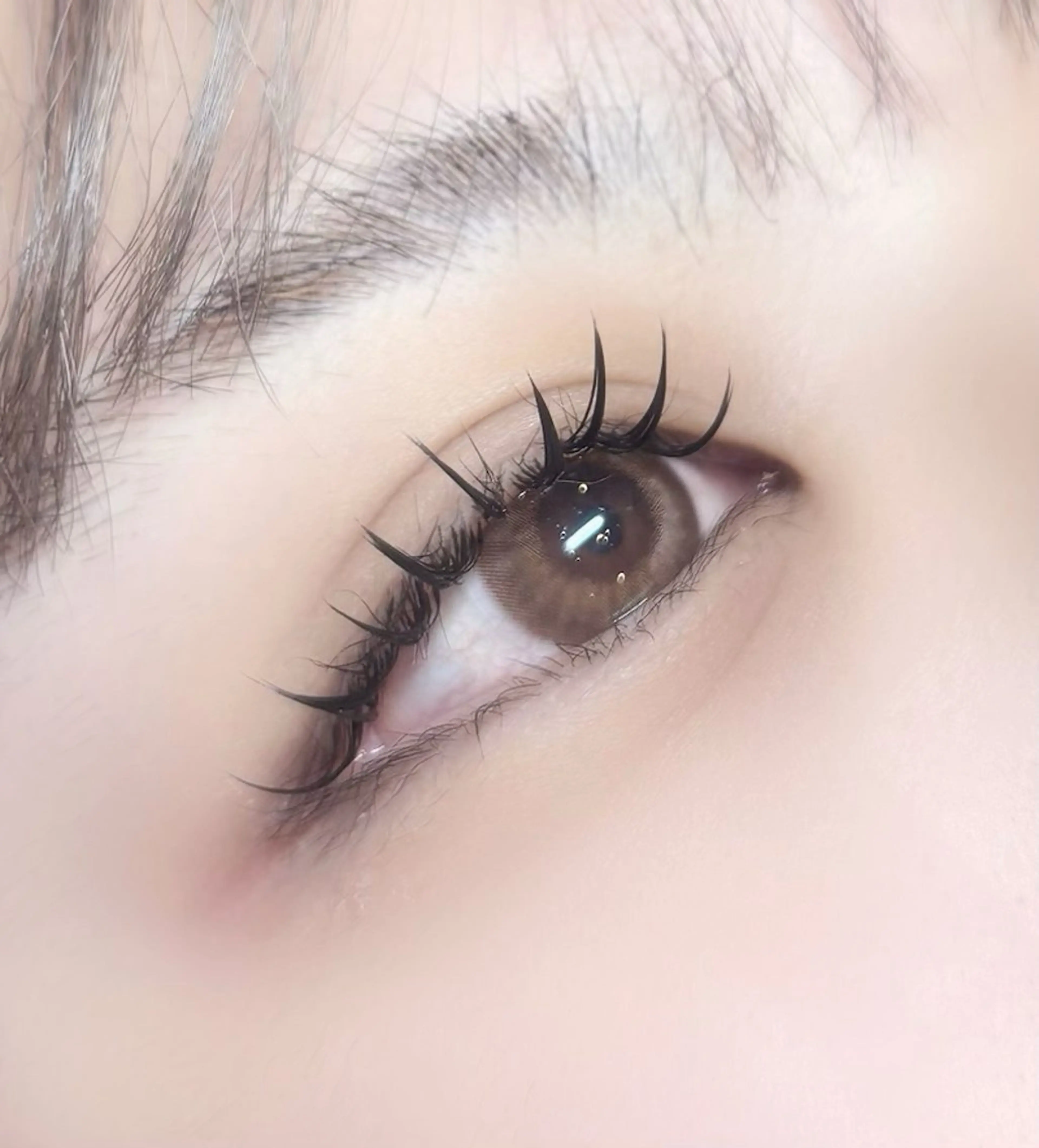 LEDフラットラッシュ100本の写真