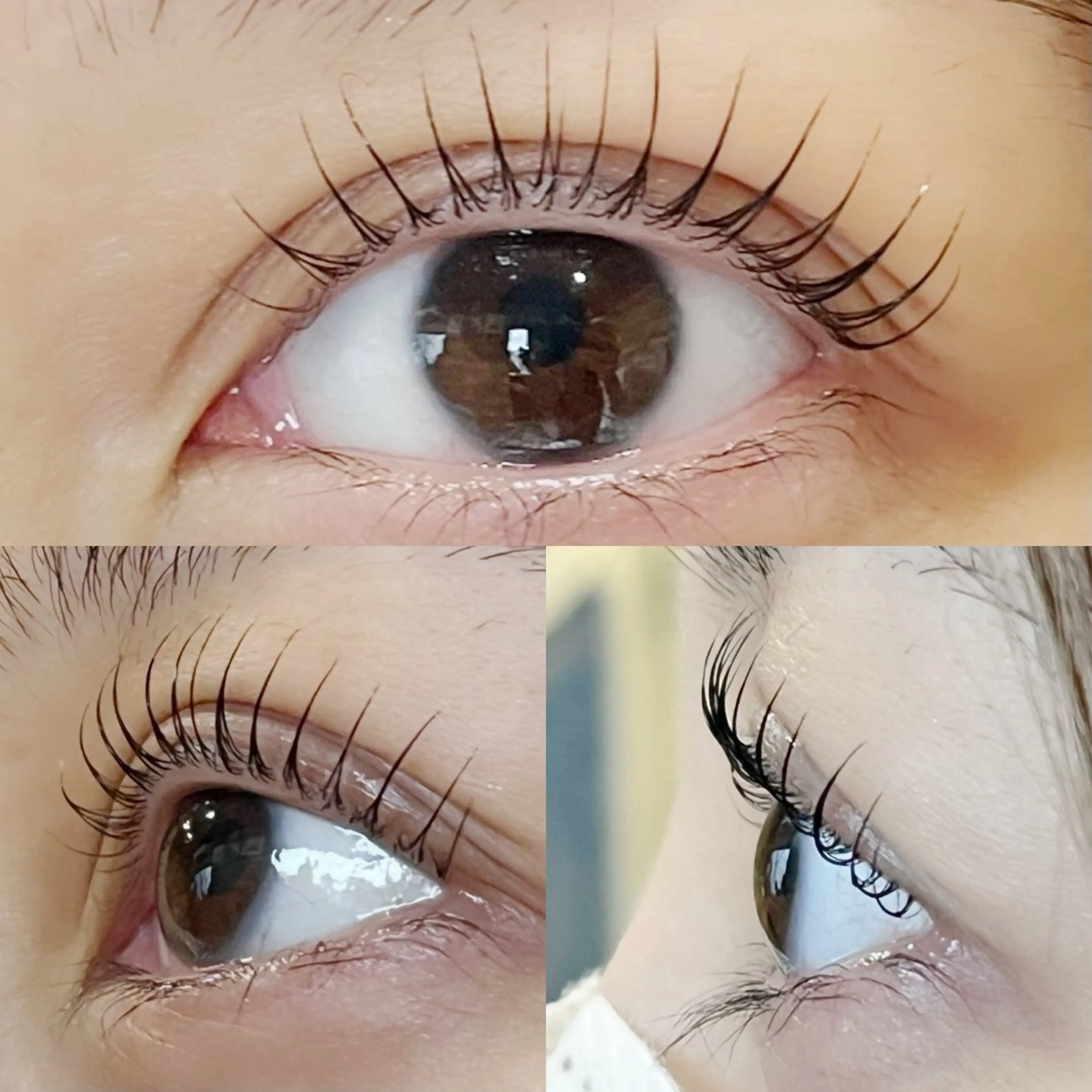 マツエク・マツパ マツパ Eyelash Luaのマツエク・マツパデザイン